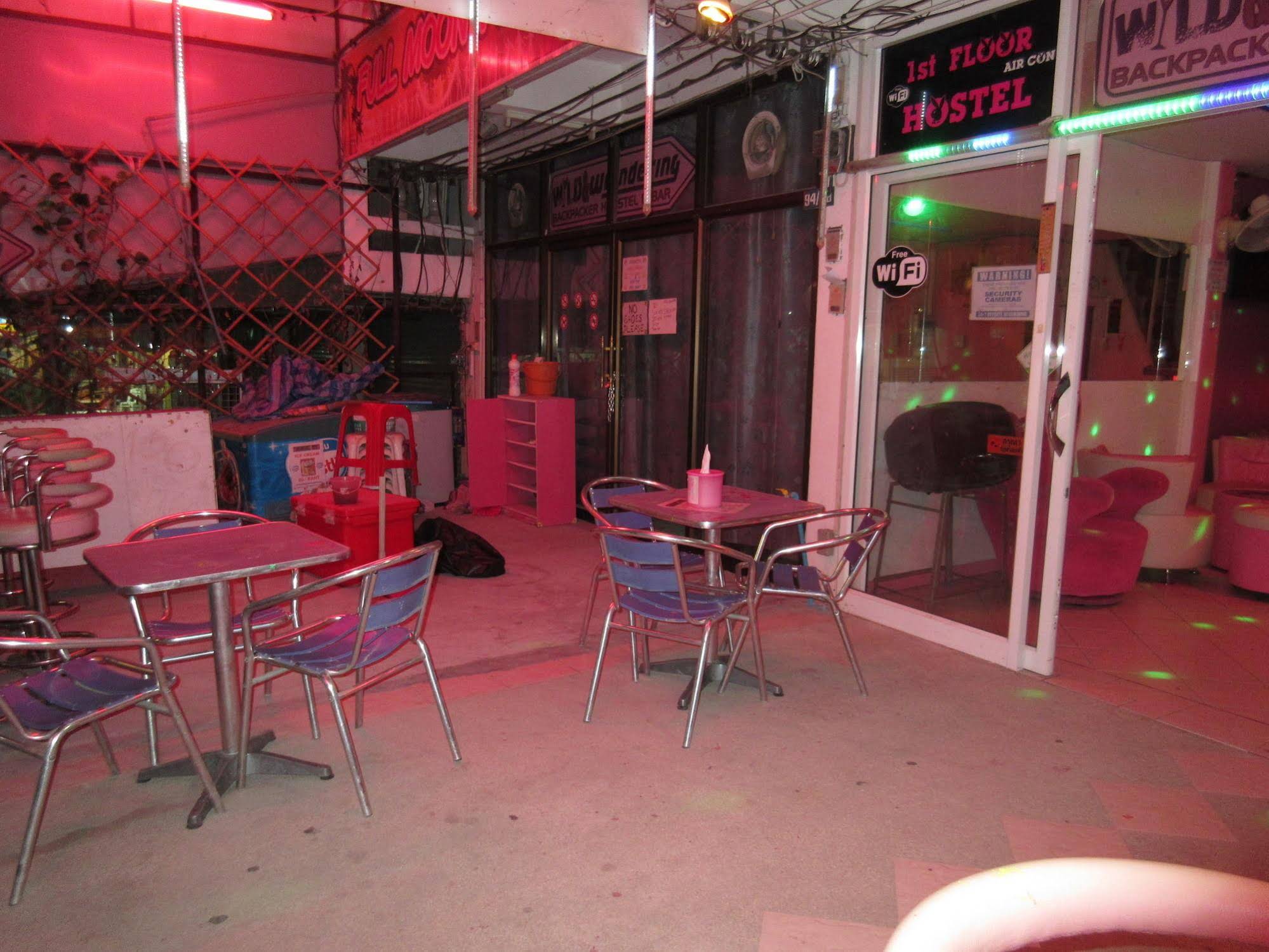 Wild & Wandering Hostel