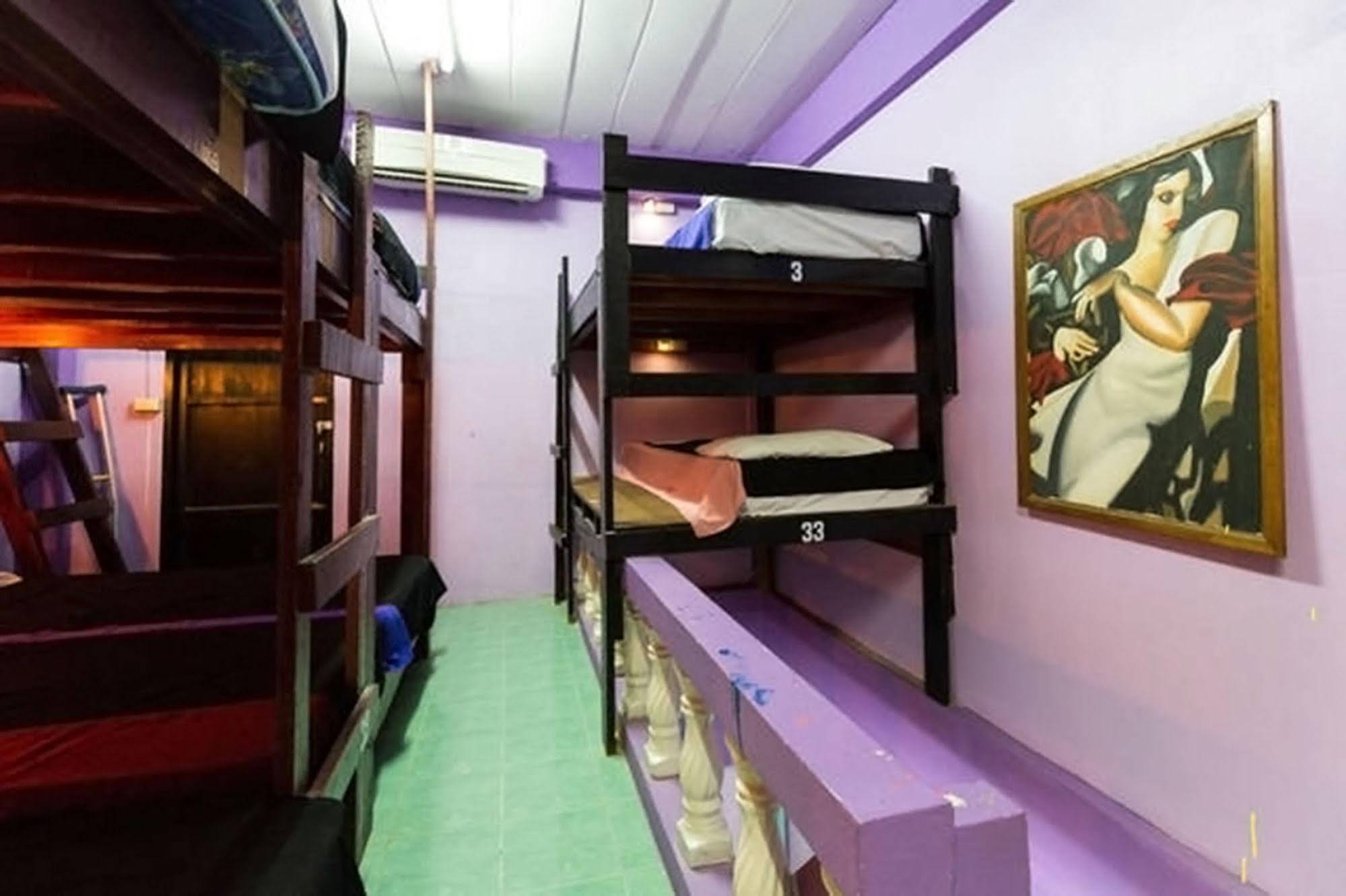 Wild & Wandering Hostel