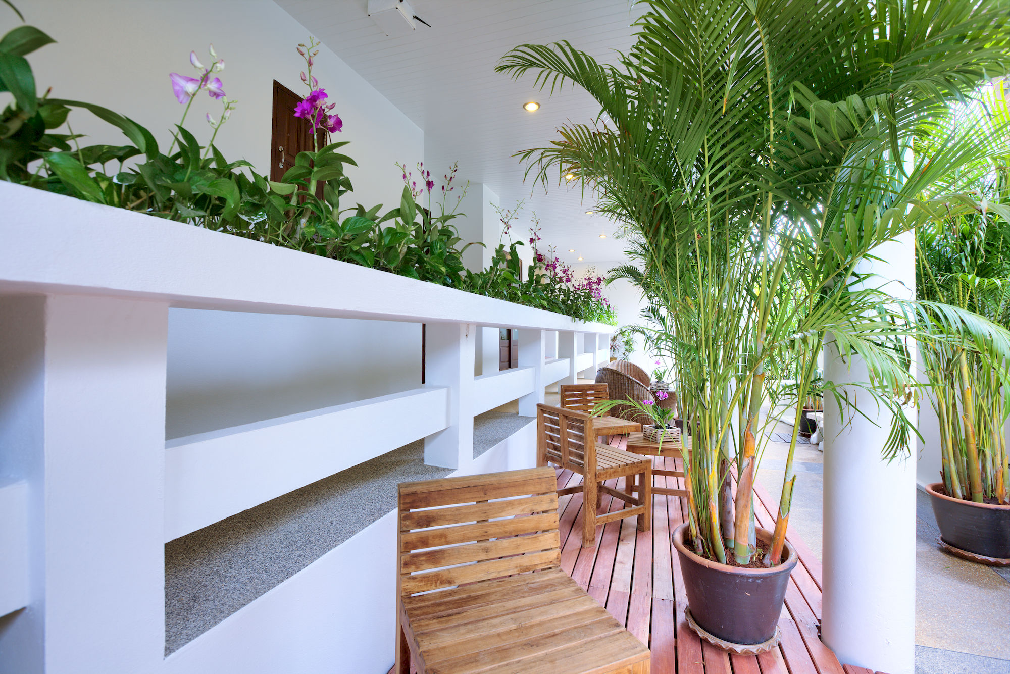 Colorize Boutique Hotel