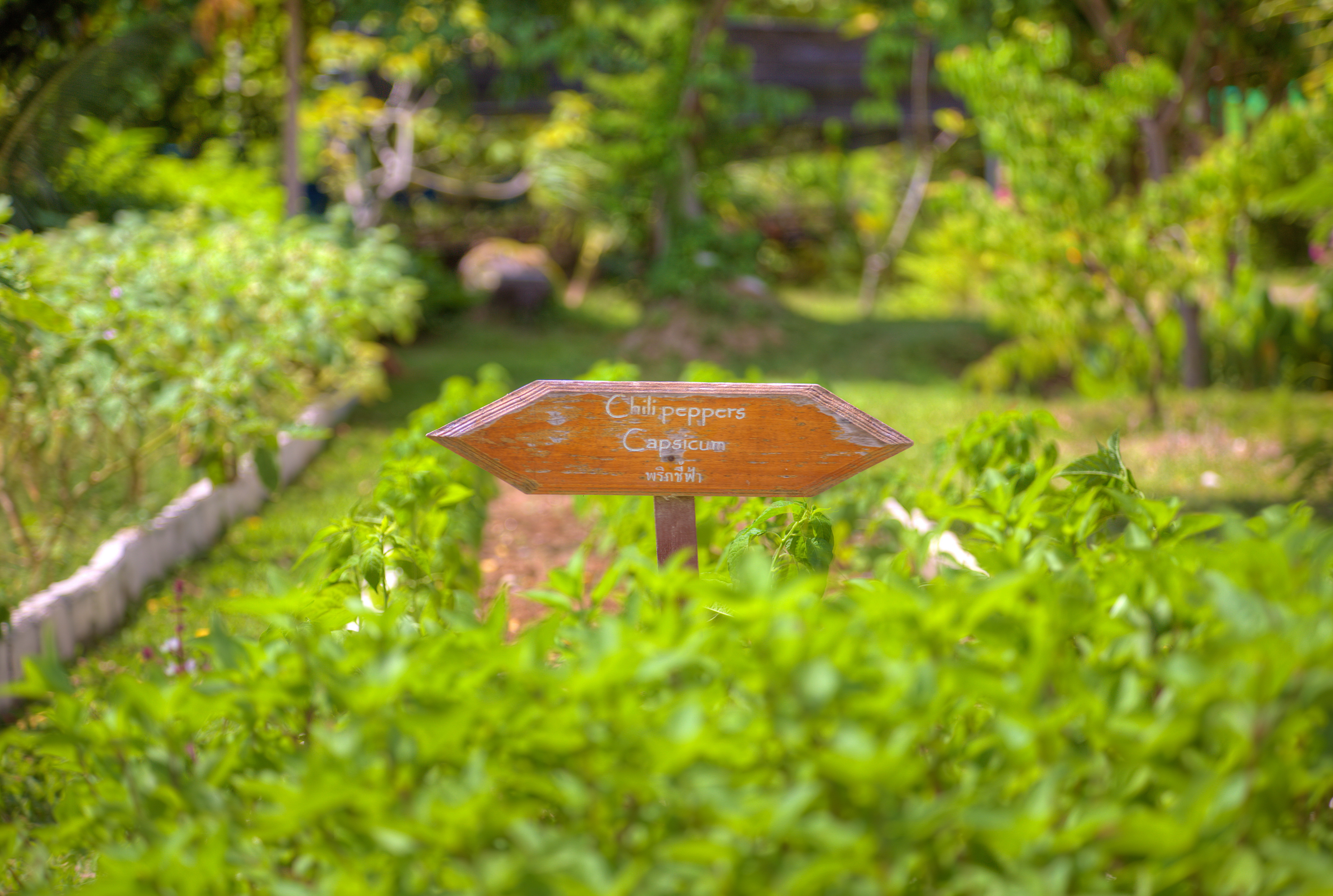 Fair House Villas & Spa