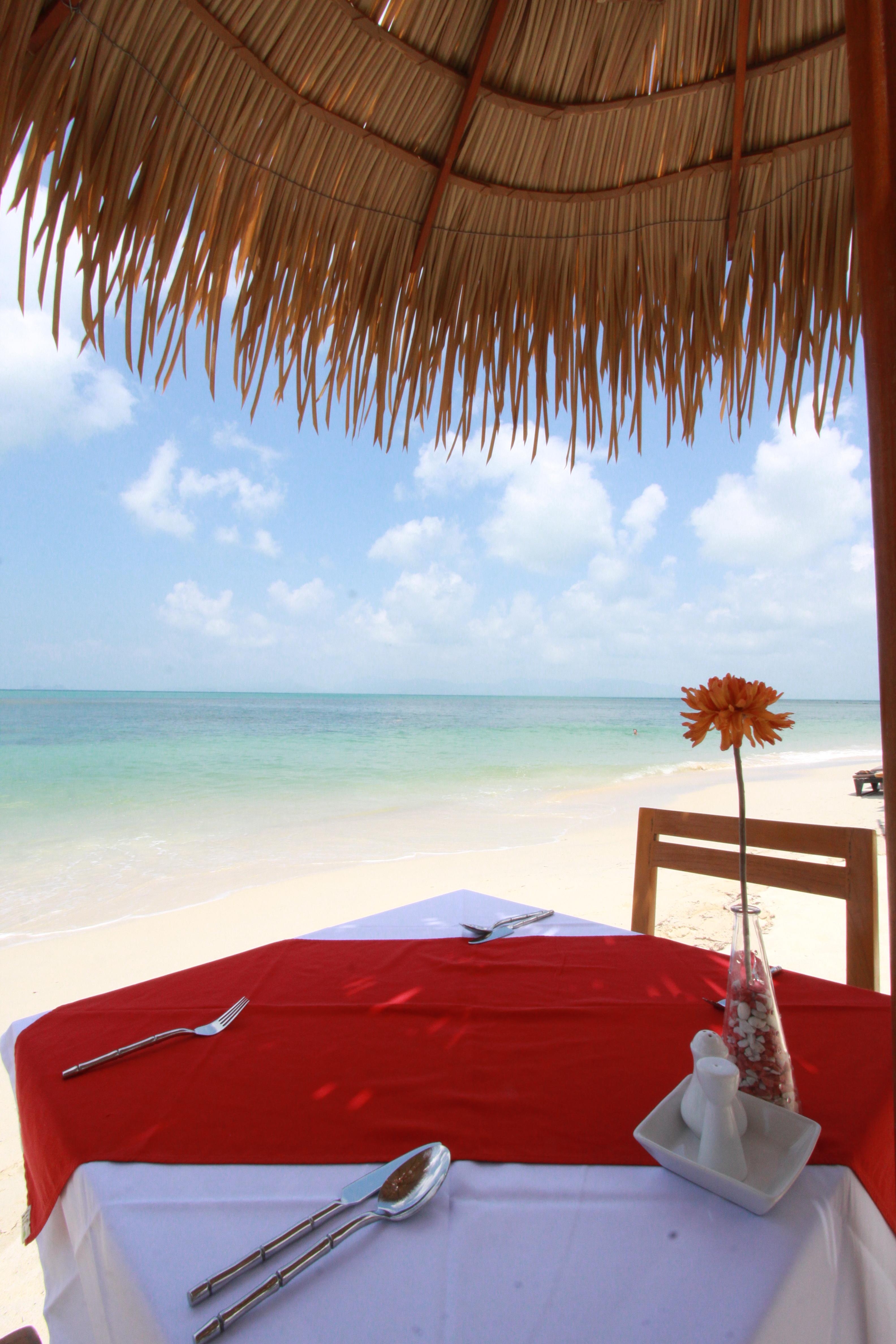 Mimosa Resort & Spa