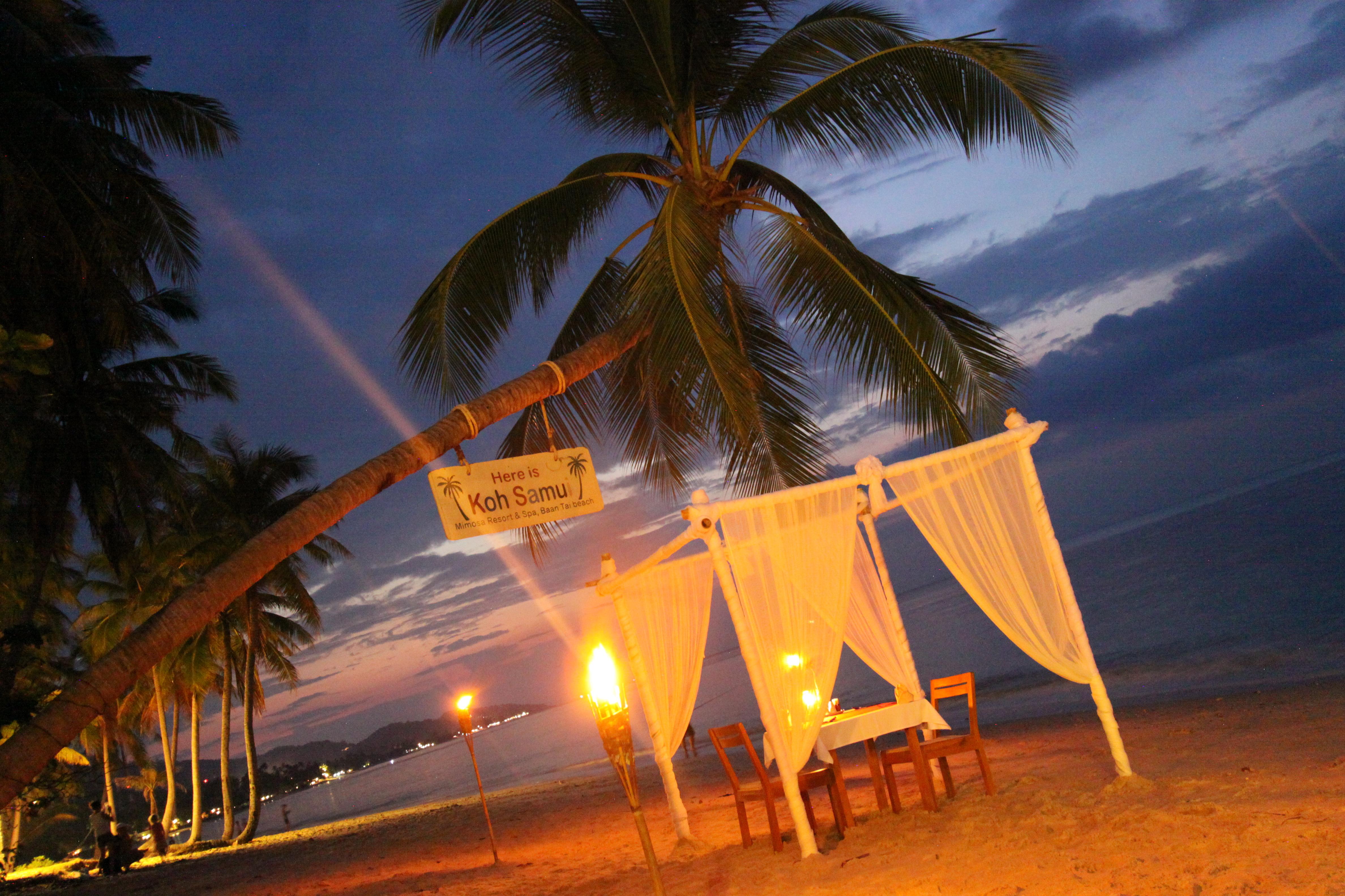 Mimosa Resort & Spa