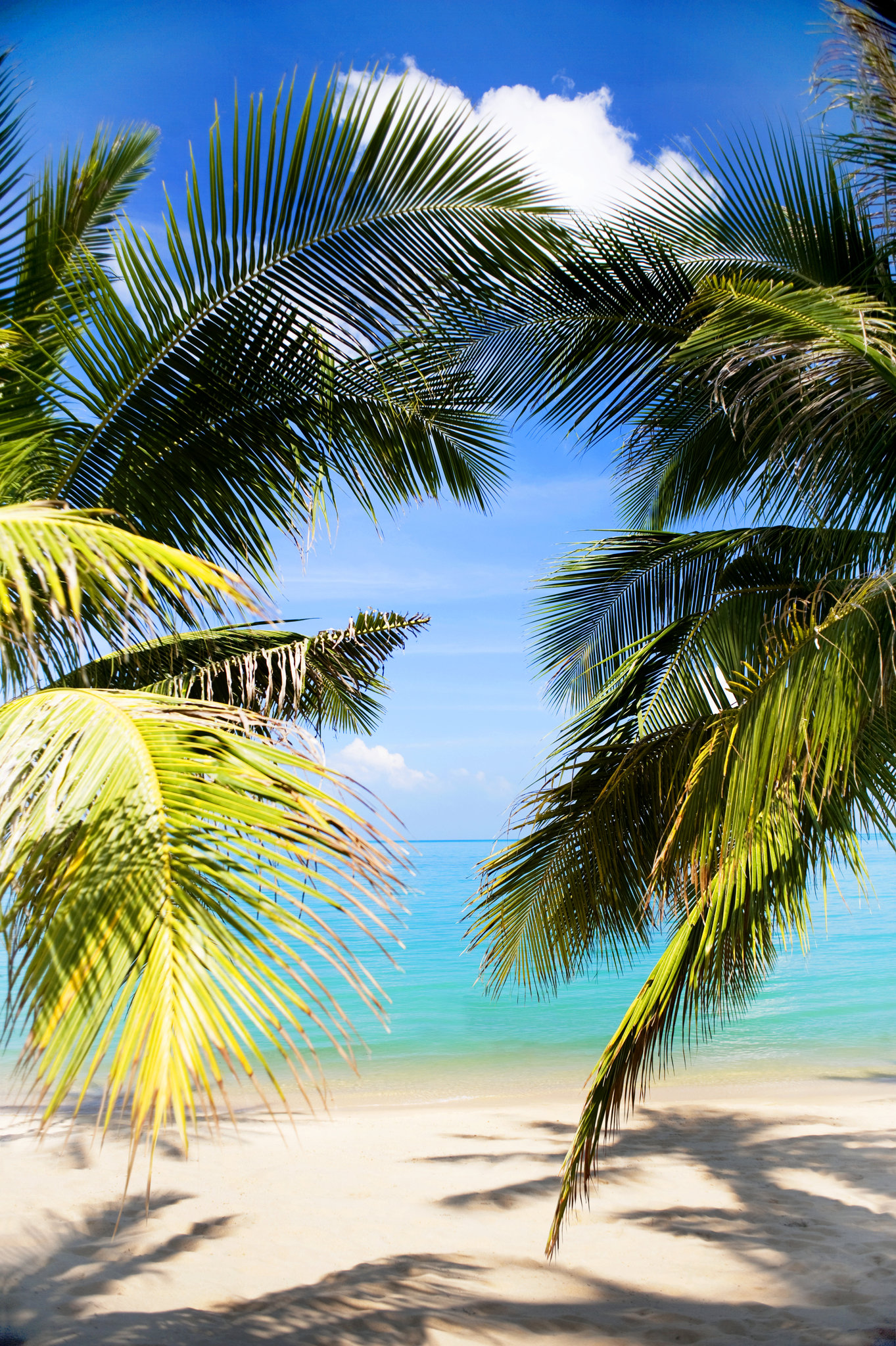 W Koh Samui