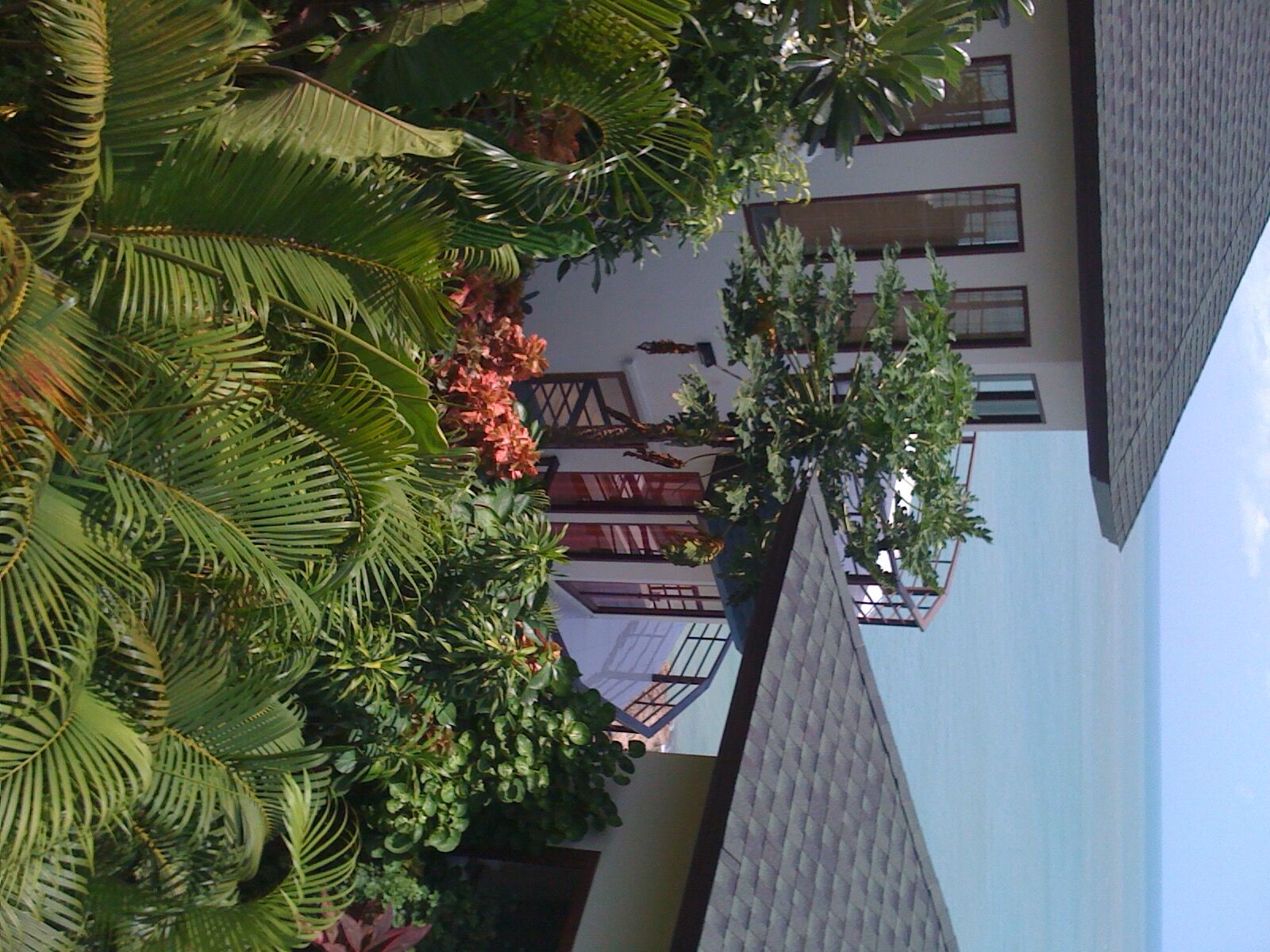 Sunrise Villa's Koh Samui- Enjoy Your Holiday