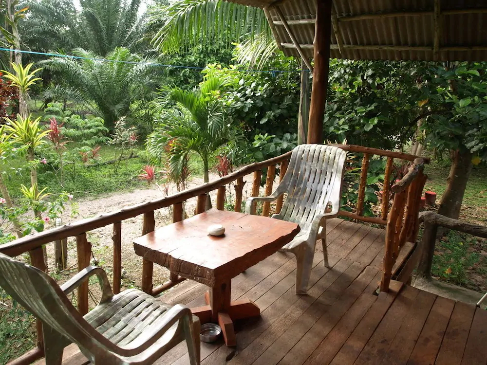 Khaosok Palmview