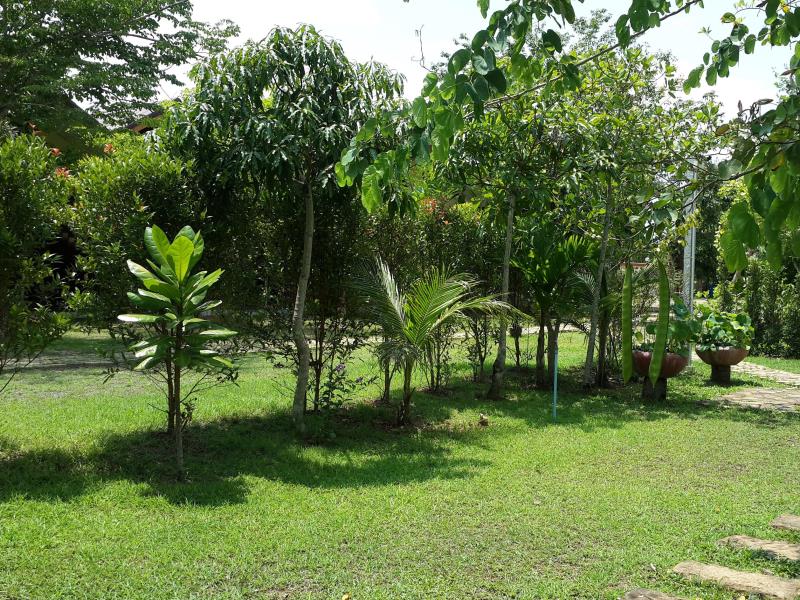 Krabi Discovery Resort