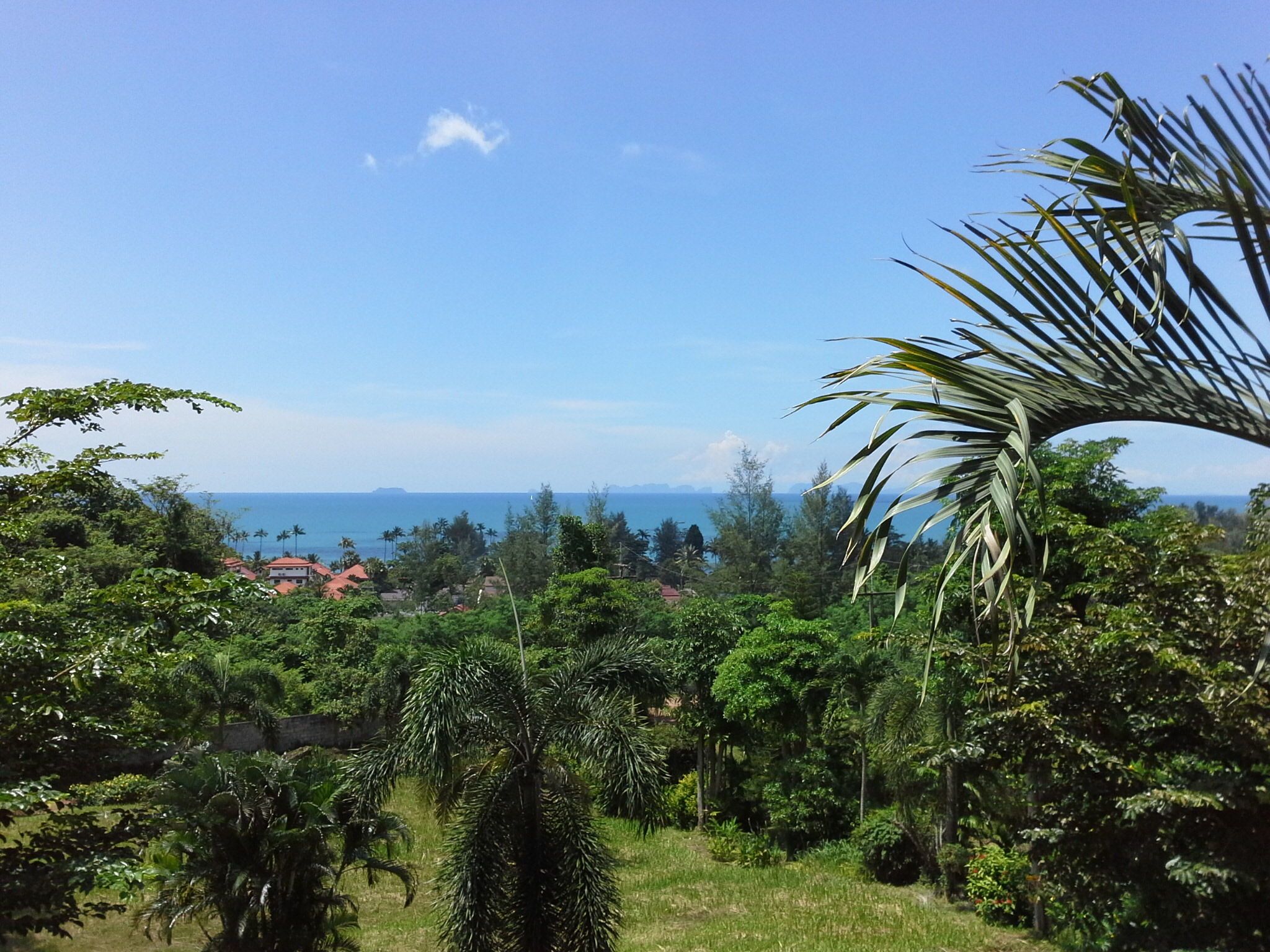 Freedom Estate