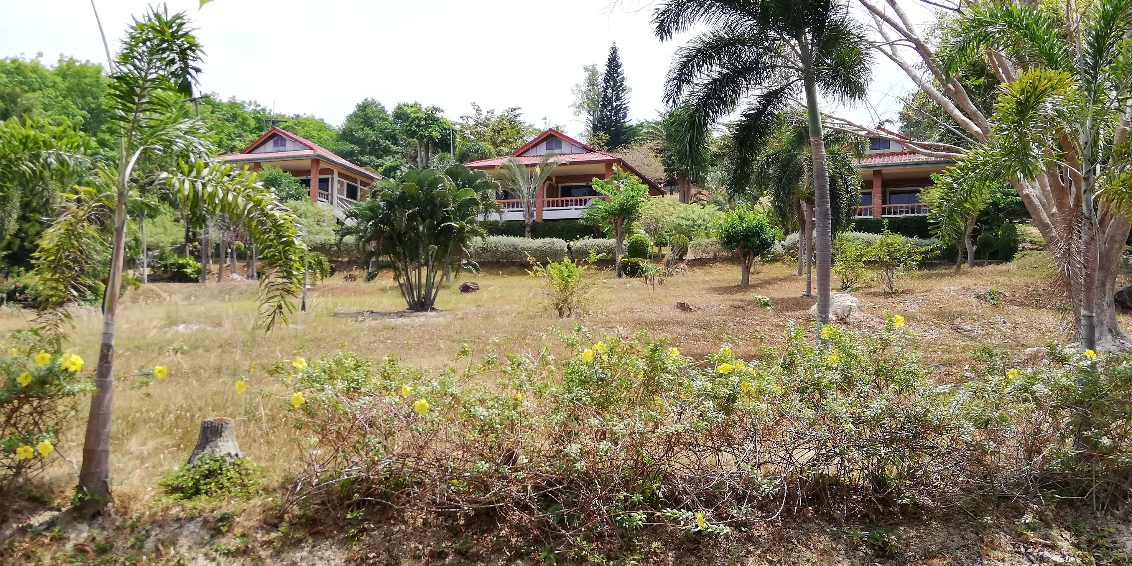 Freedom Estate