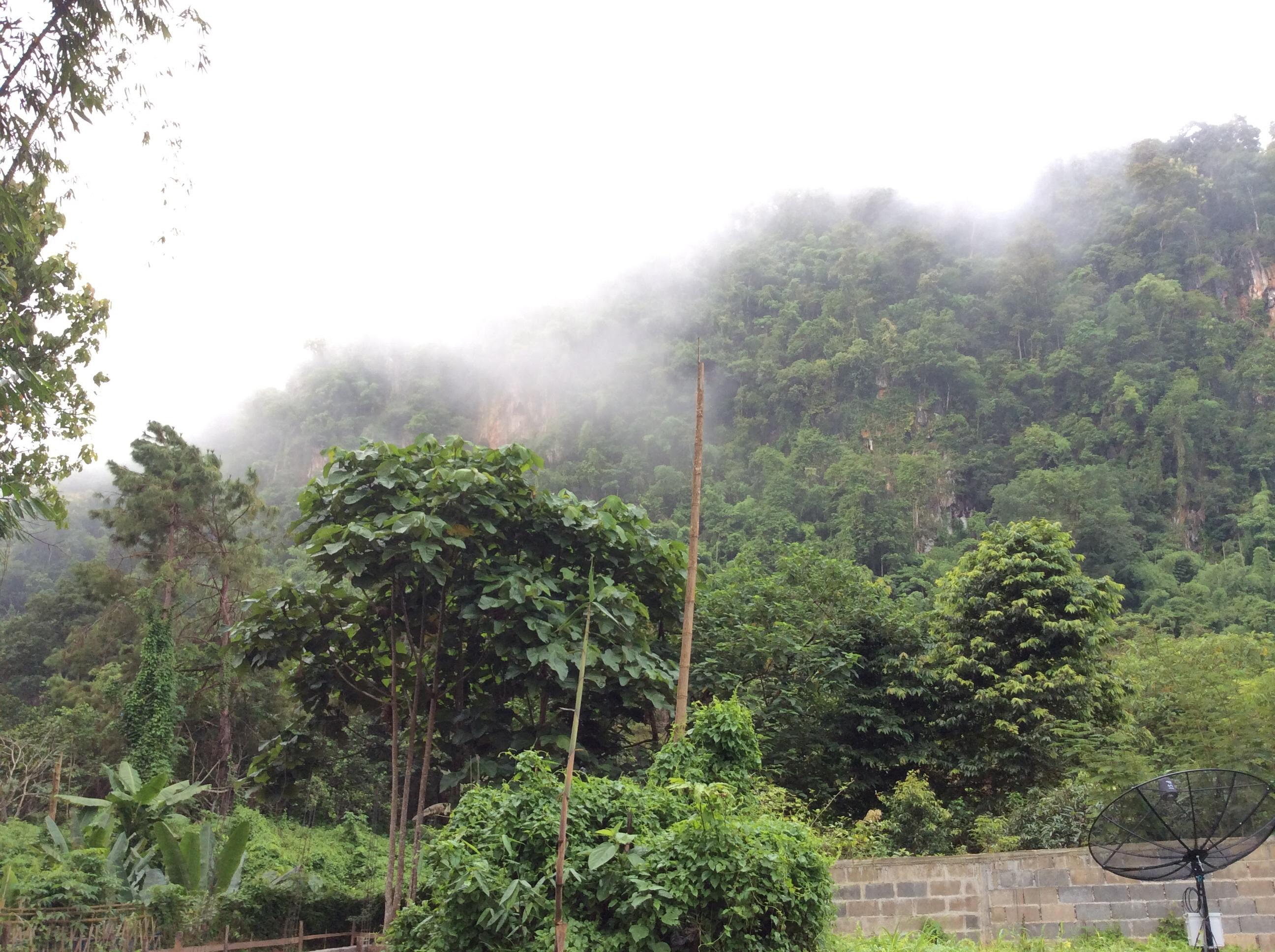 Chiang Dao Hut