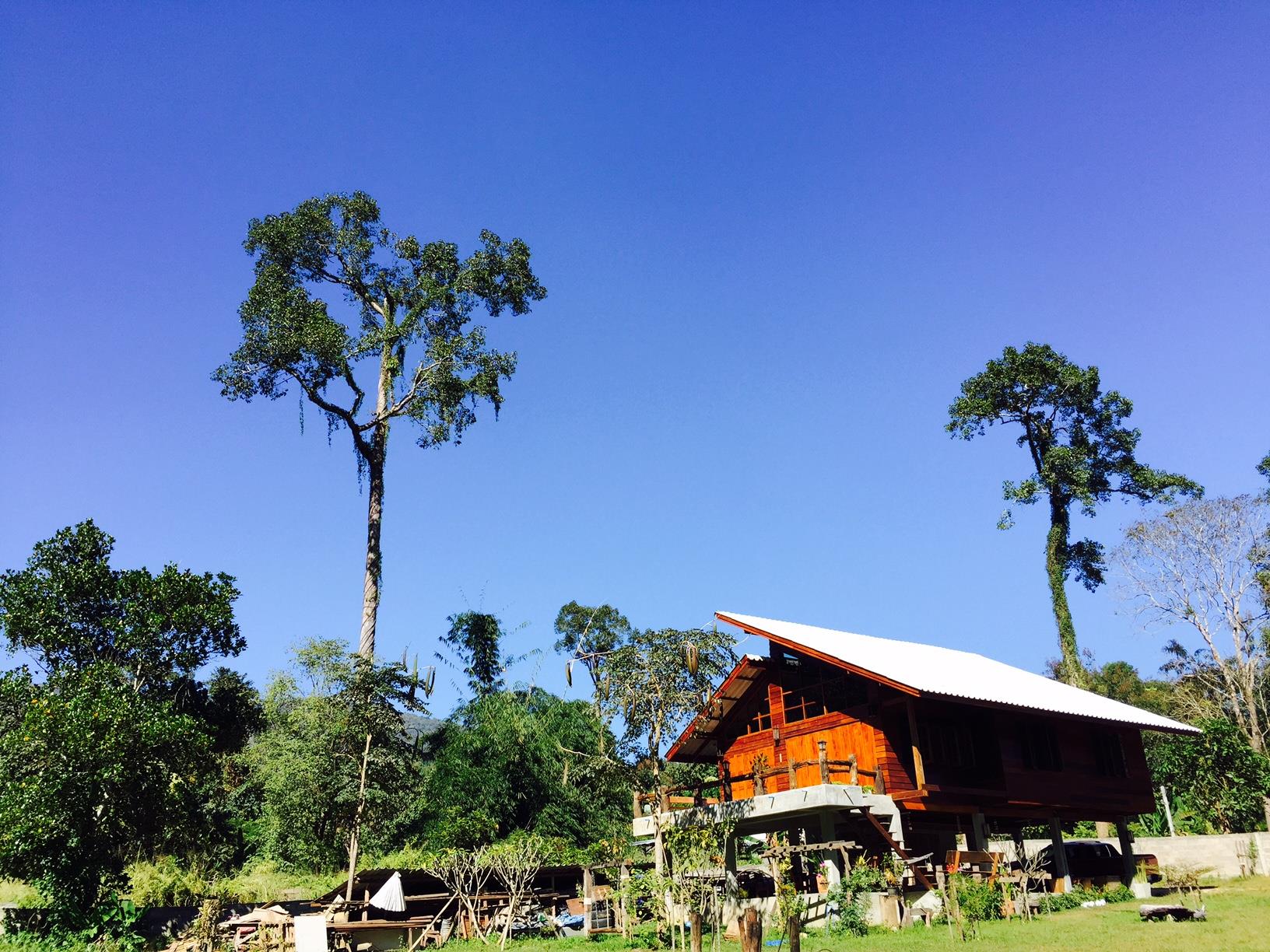 Chiang Dao Hut