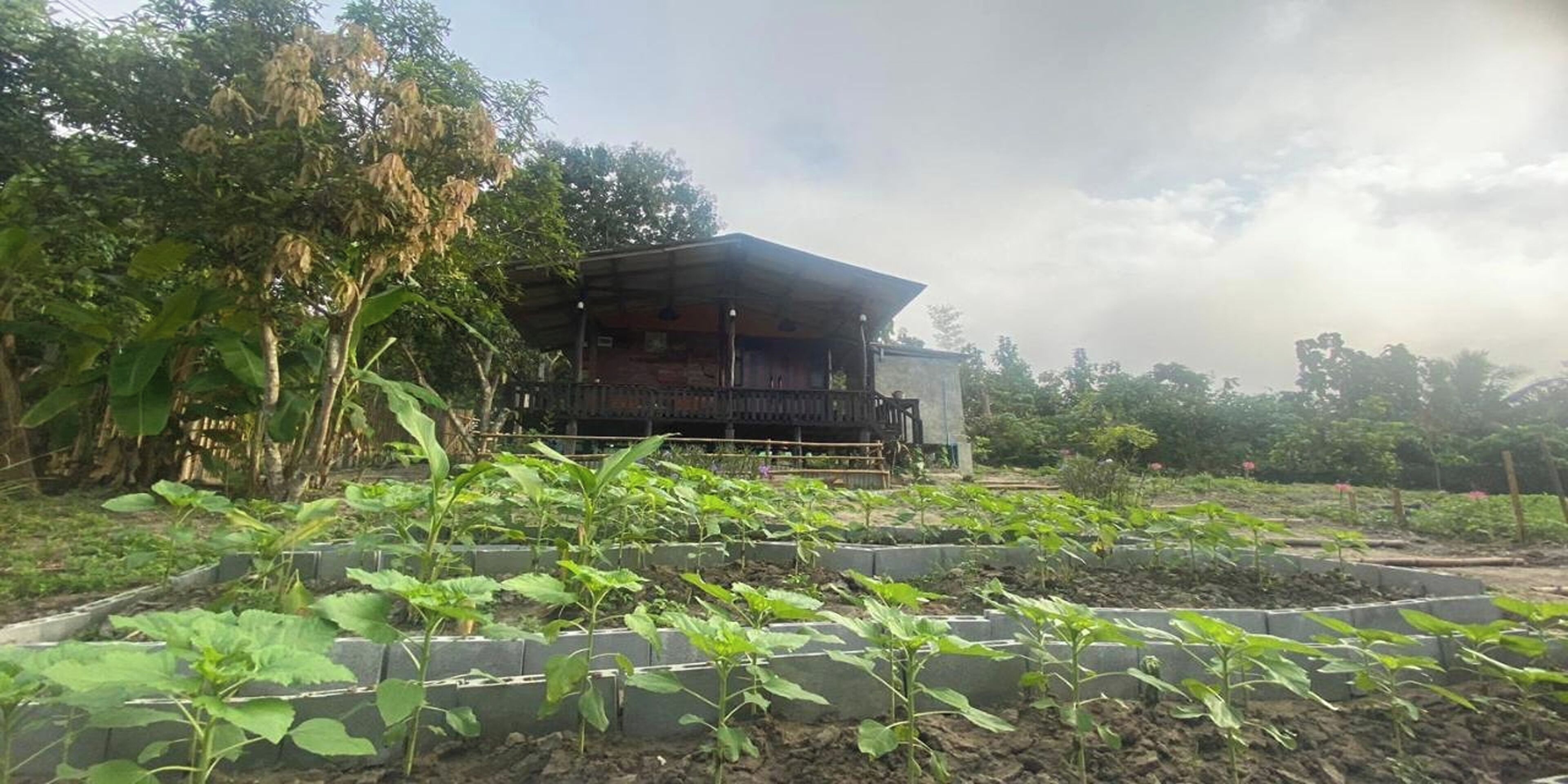 Nokkamin Home Chiang Dao