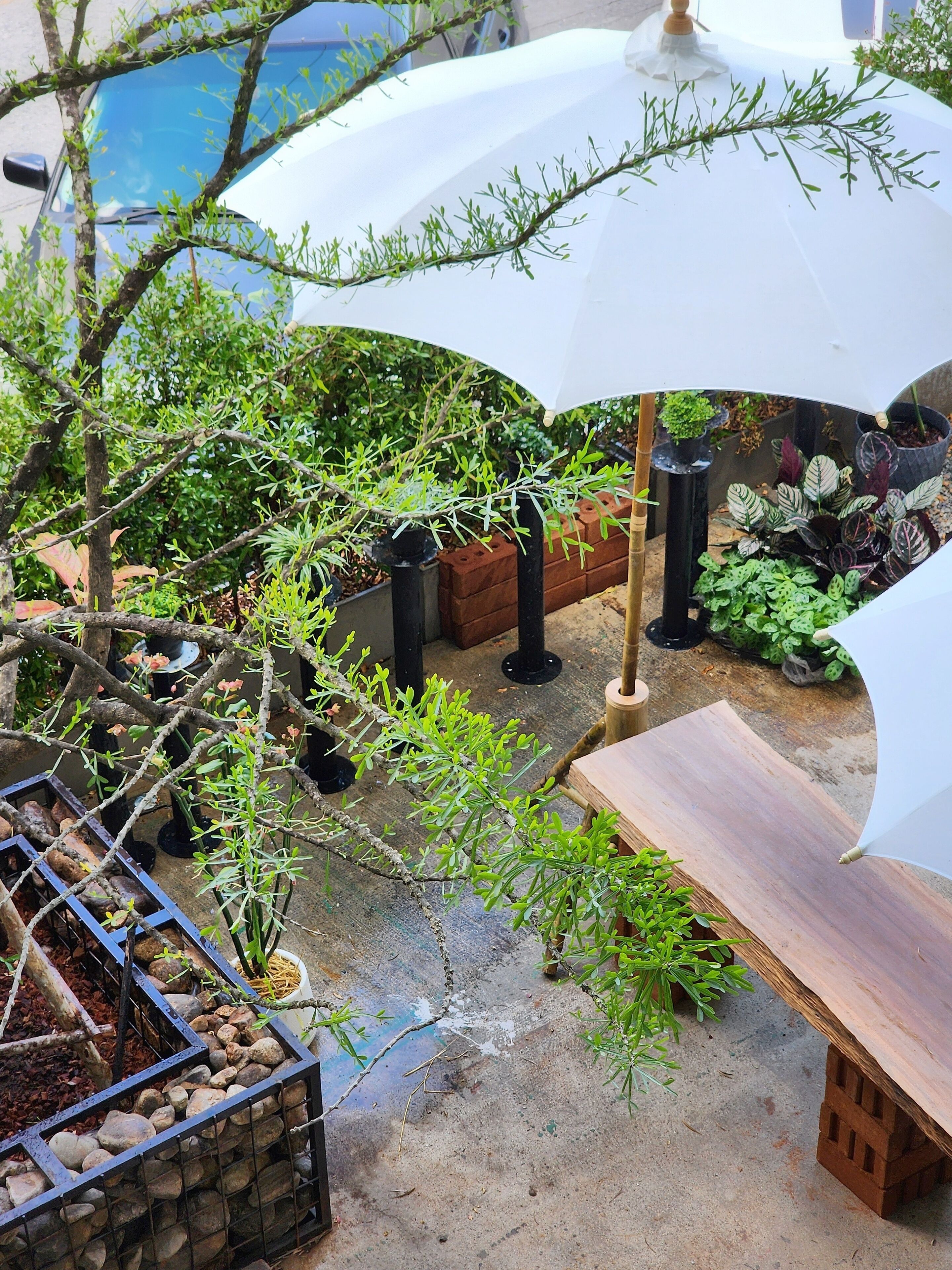 Art Gate Hotel