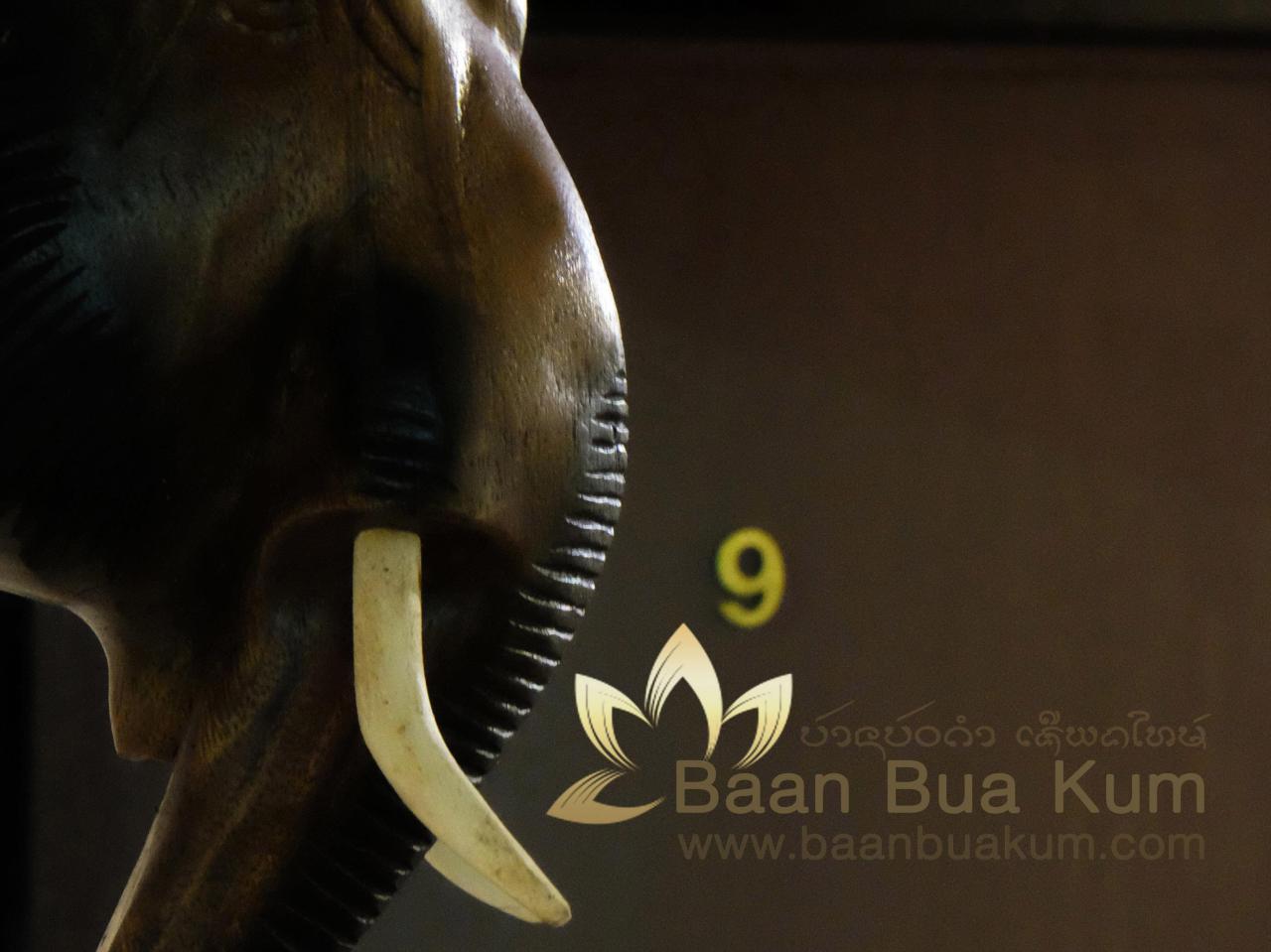 Baan Bua Kum