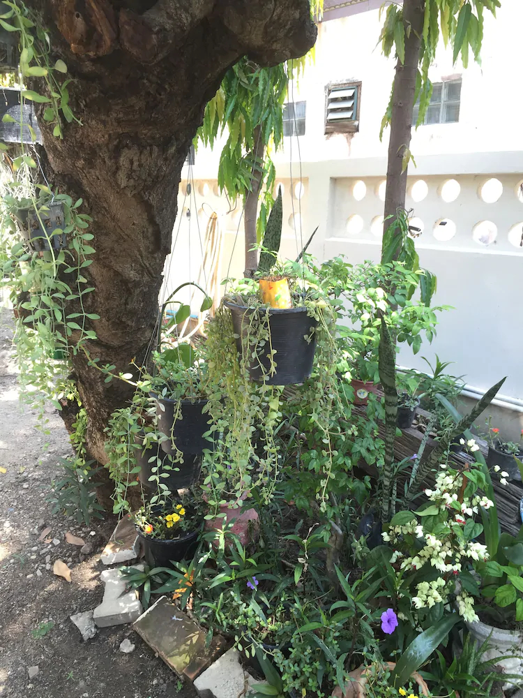 Chongrak Guesthouse