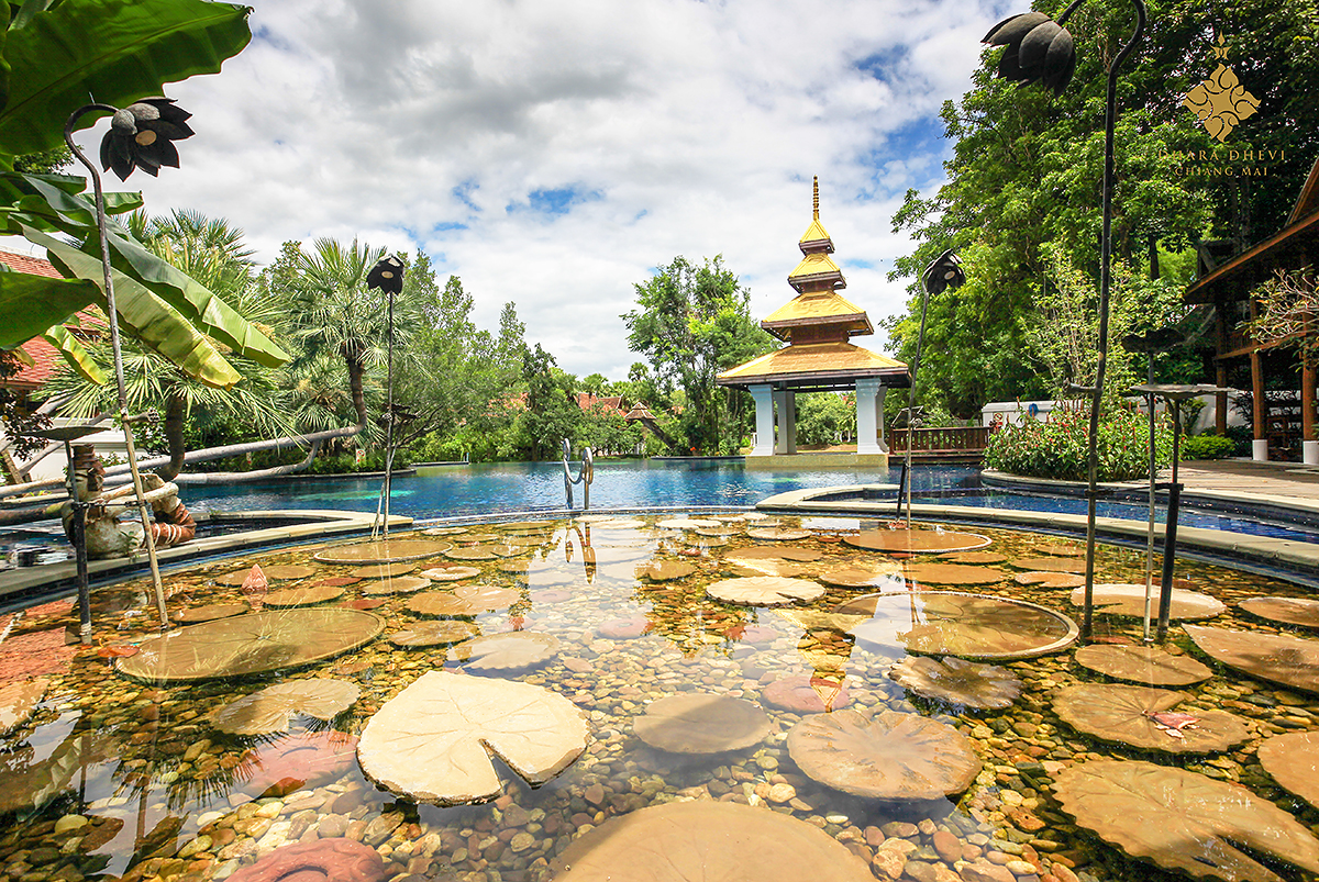 Dhara Dhevi