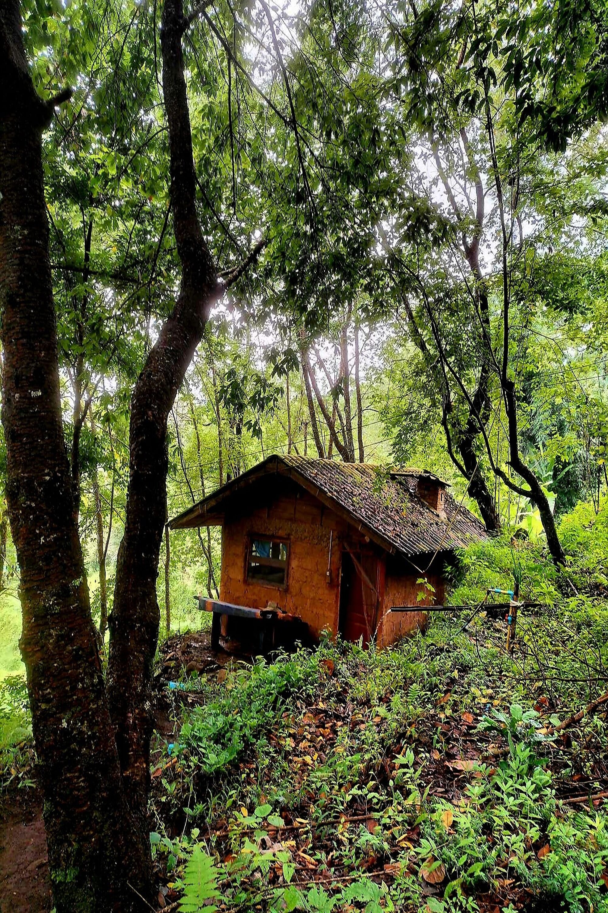 Doi Pumuen Lahu Homestay