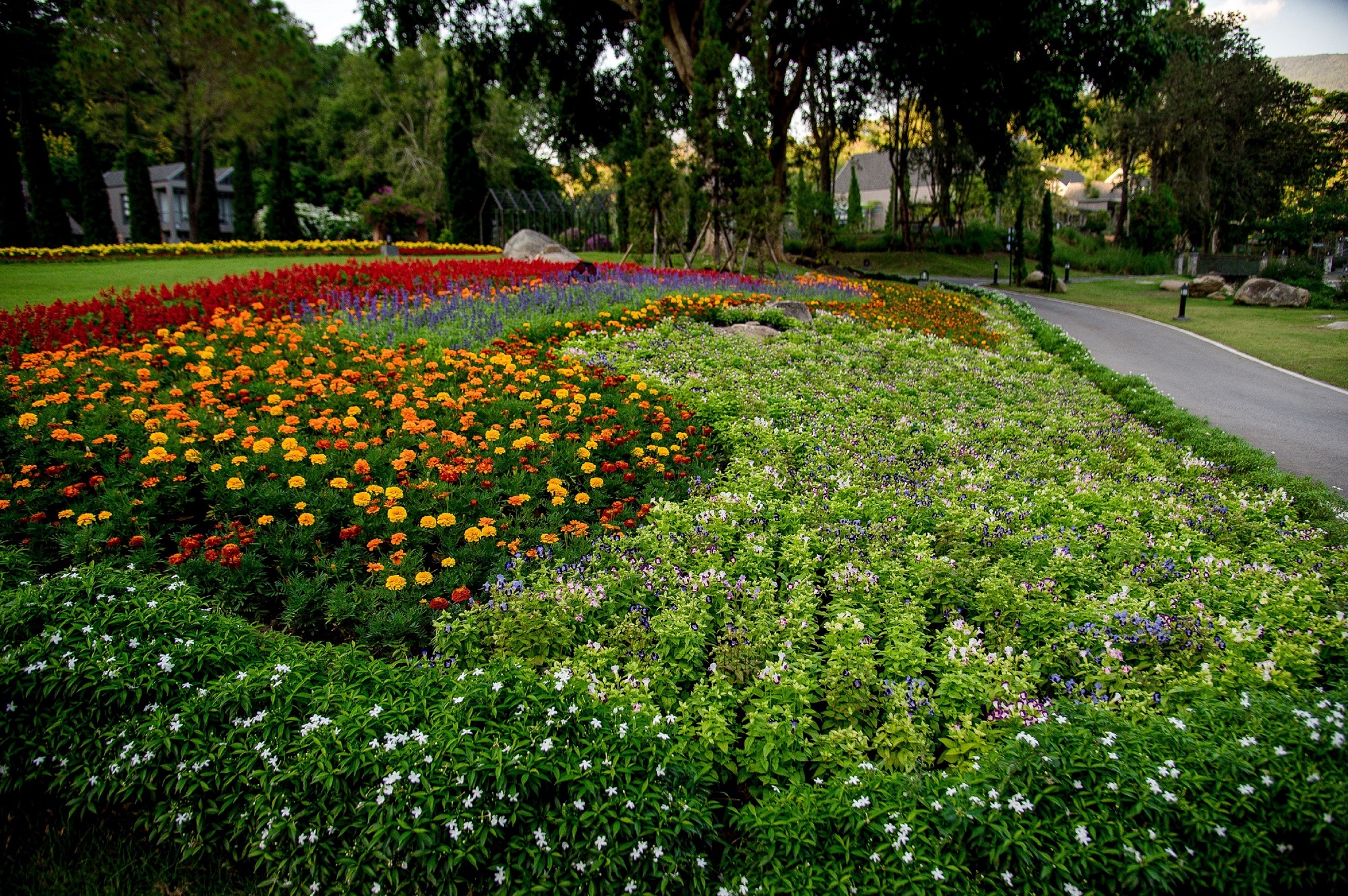 Flora Creek Chiang Mai