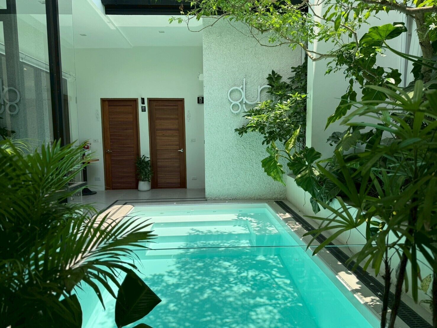 Glyn Chiangmai