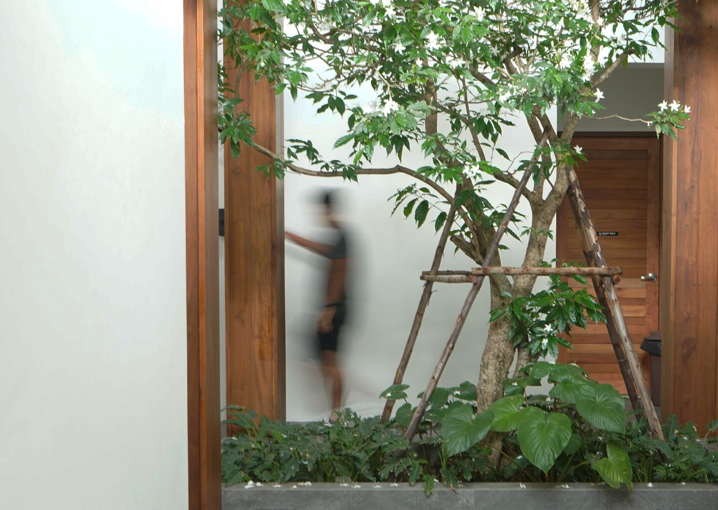Glyn Chiangmai