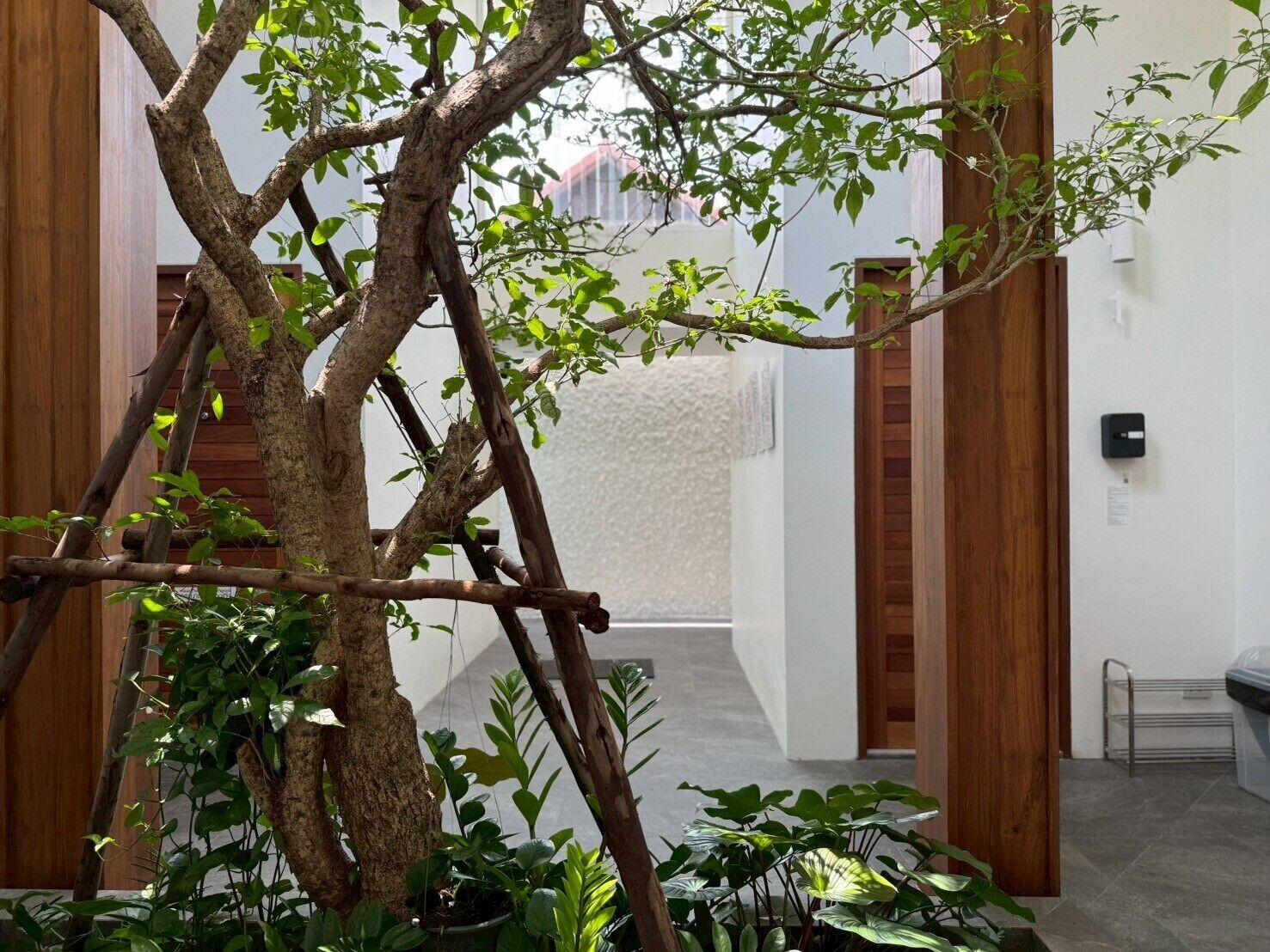 Glyn Chiangmai