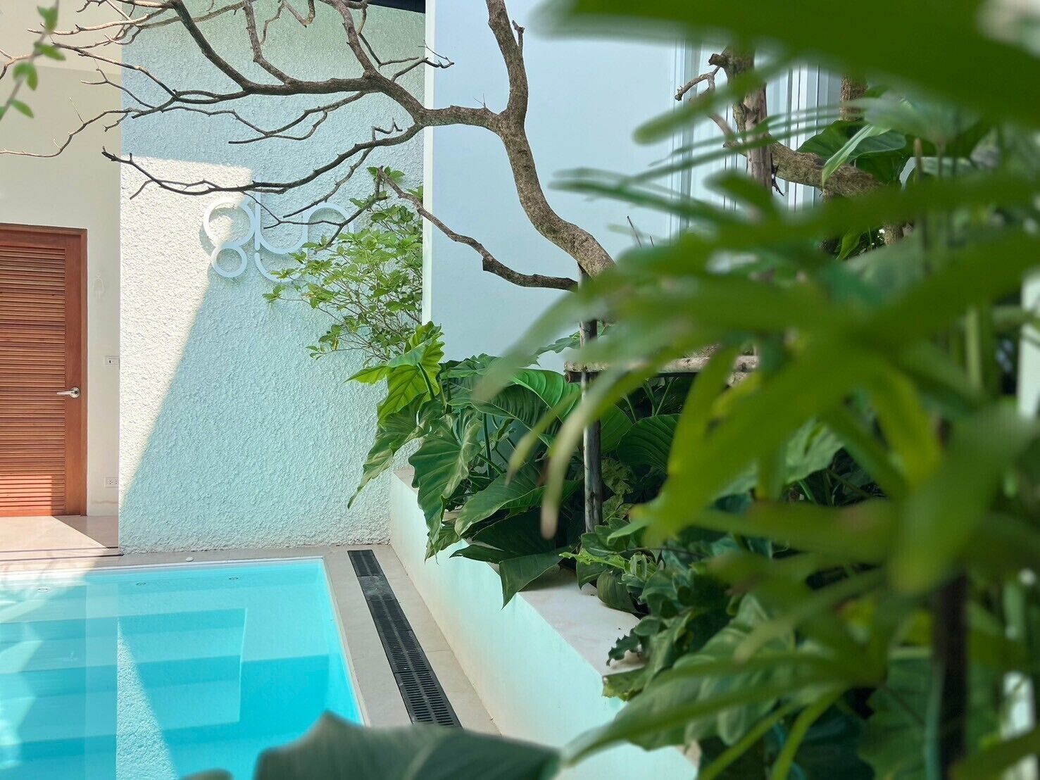 Glyn Chiangmai