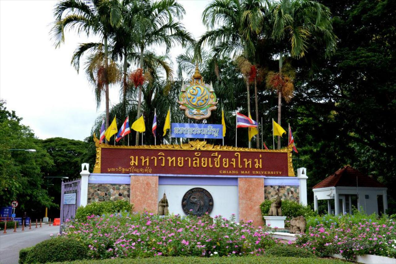Go Inn Chiang Mai University - Cmu