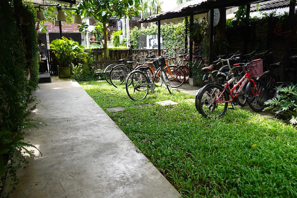 Gord Chiang Mai