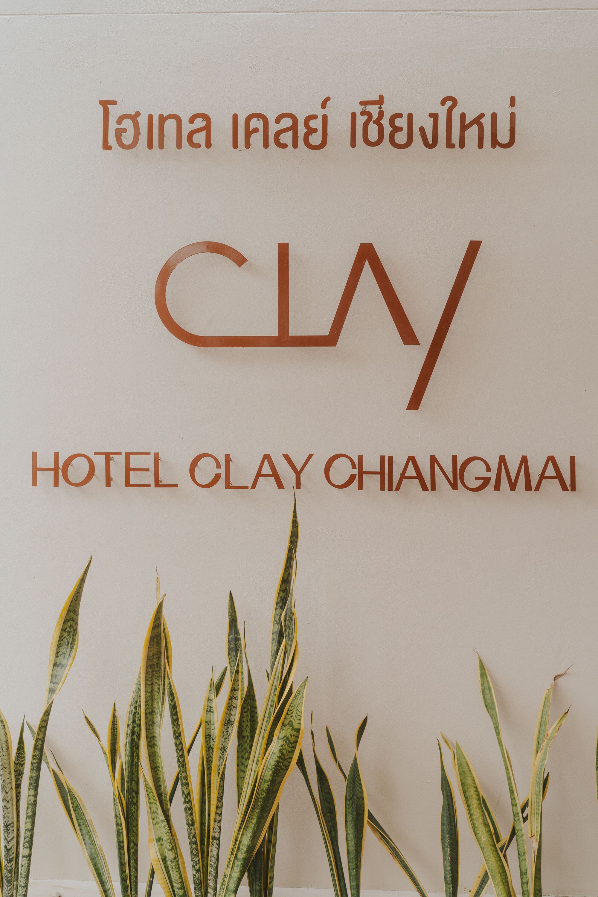 Hotel Clay Chiang Mai