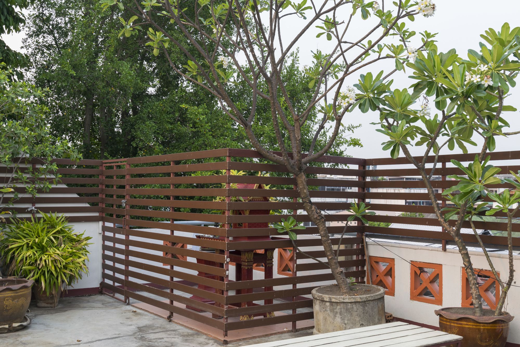 Junior Guest House