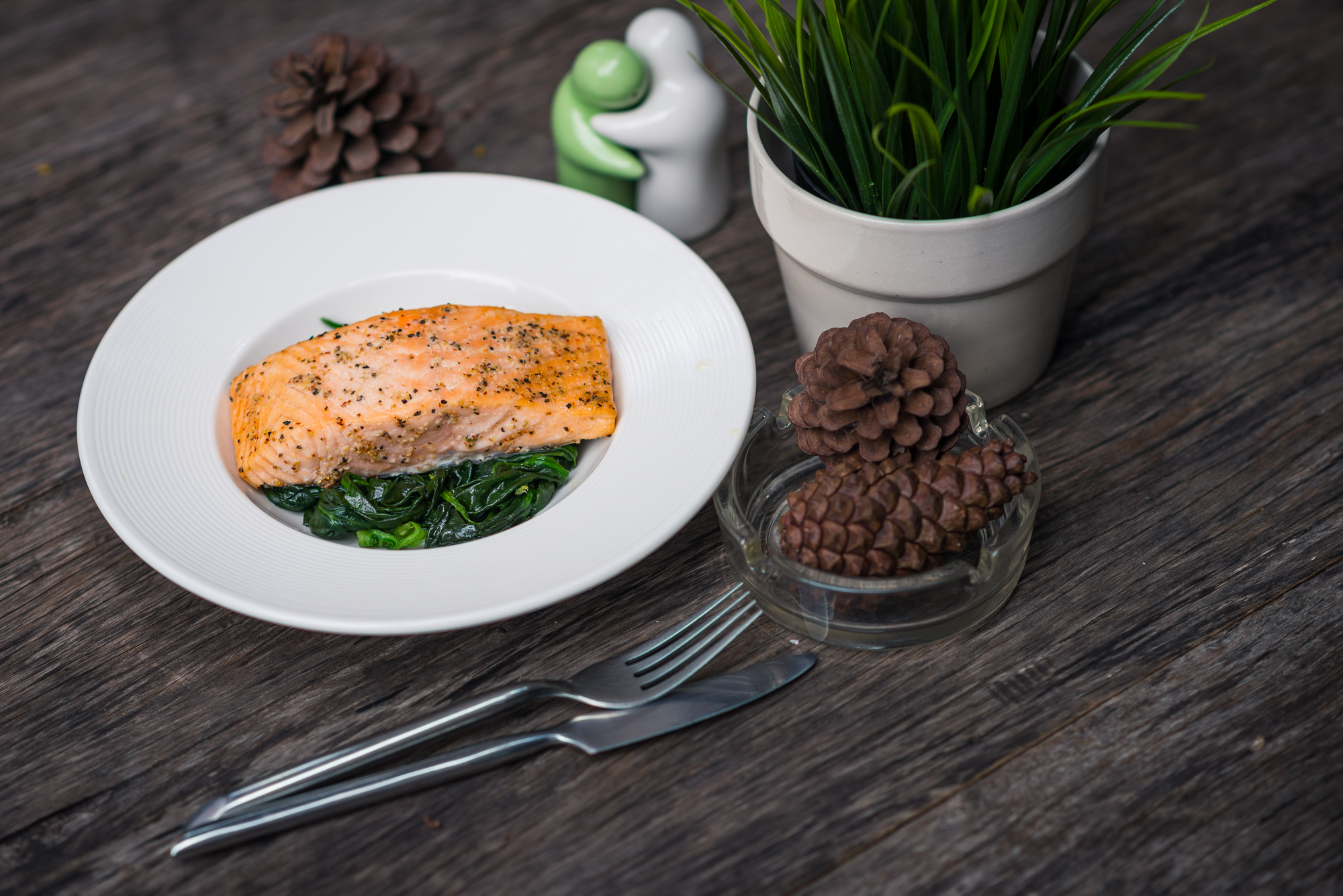 Ketawa Pet Friendly Hotel