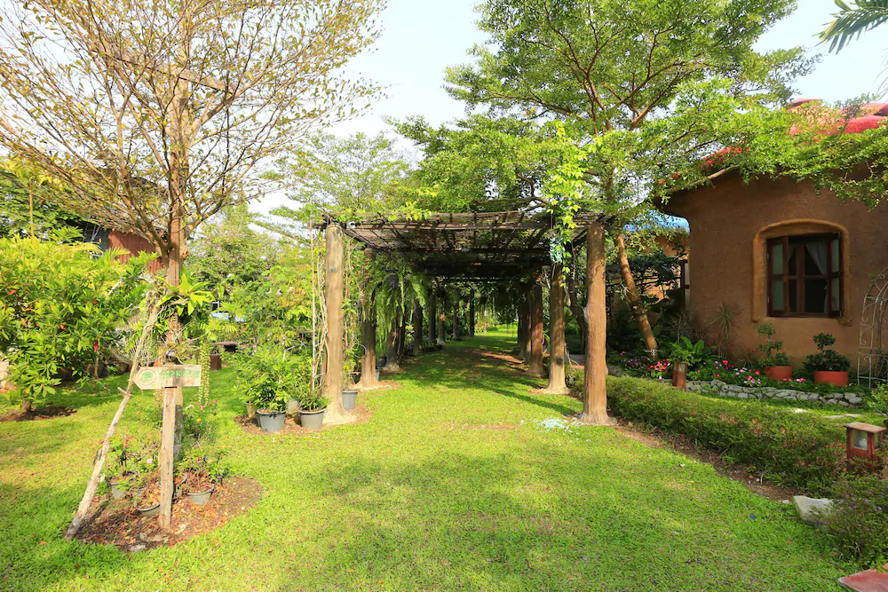 Leafy Greens Clay House