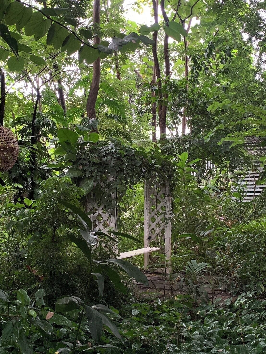 Le Cochet De Nimman