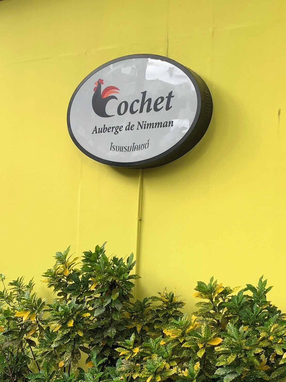 Le Cochet De Nimman