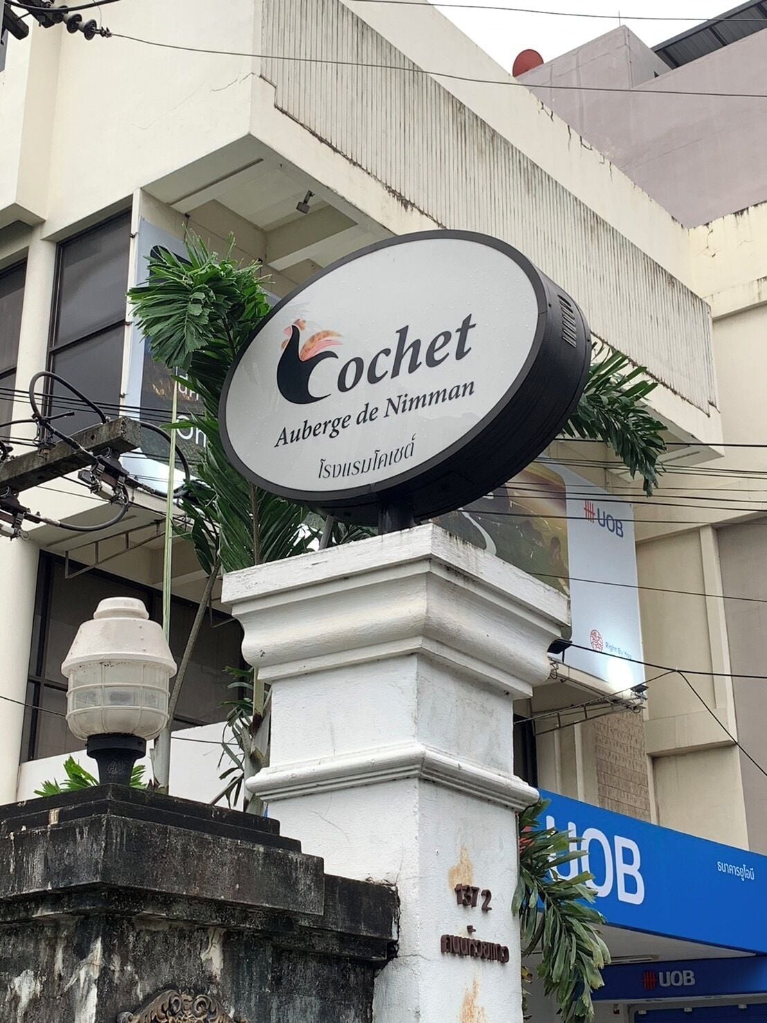 Le Cochet De Nimman
