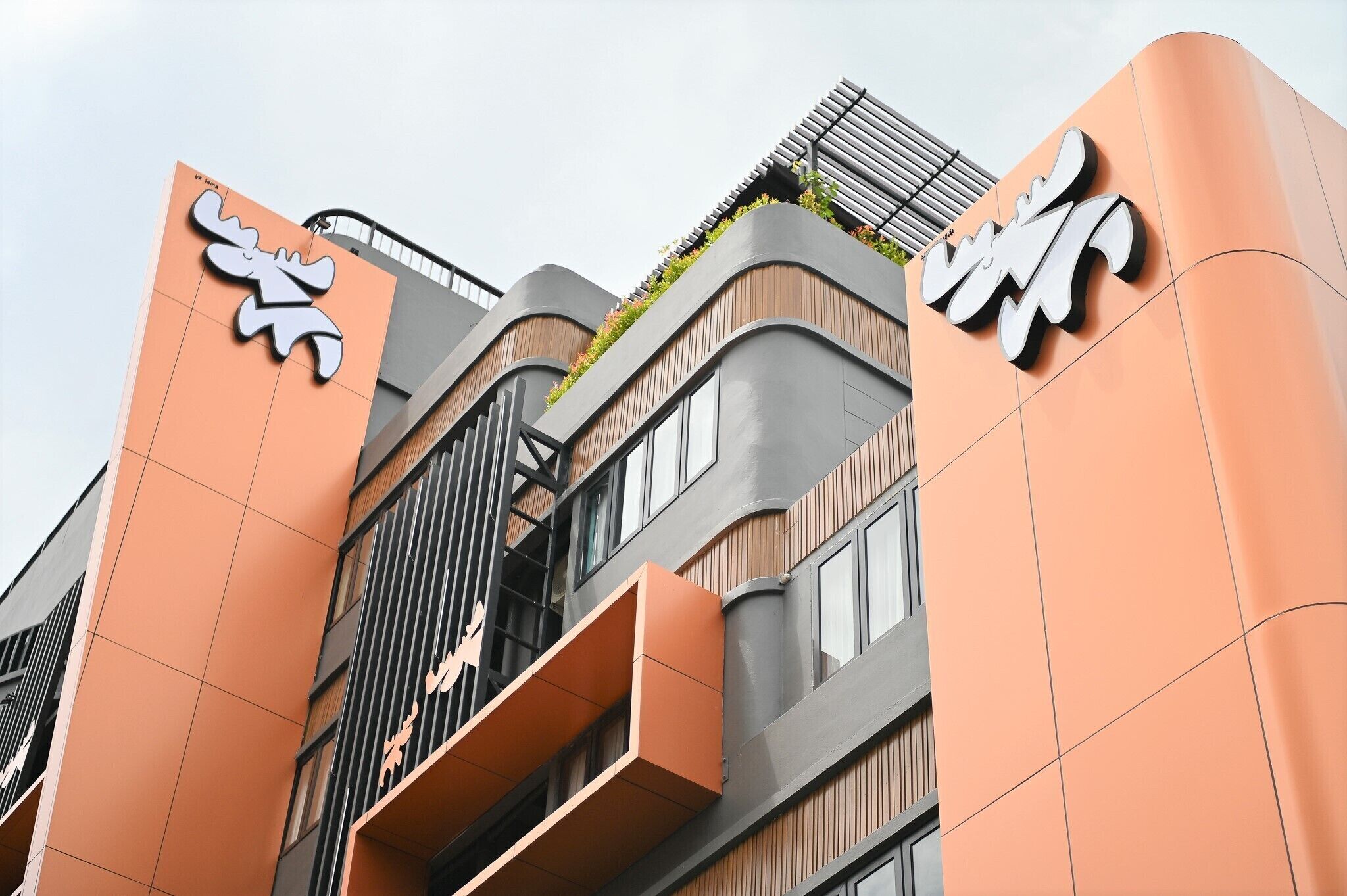 Moose Hotel Nimman