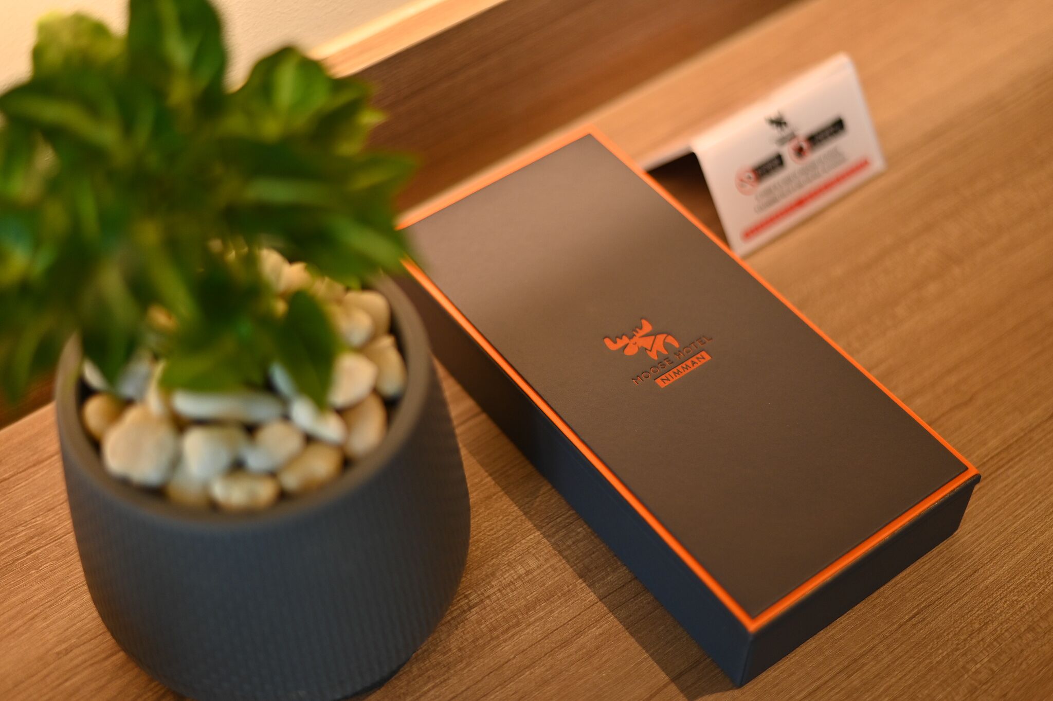 Moose Hotel Nimman