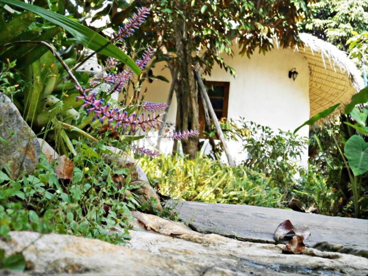 Namrae Maewang Phairin Resort