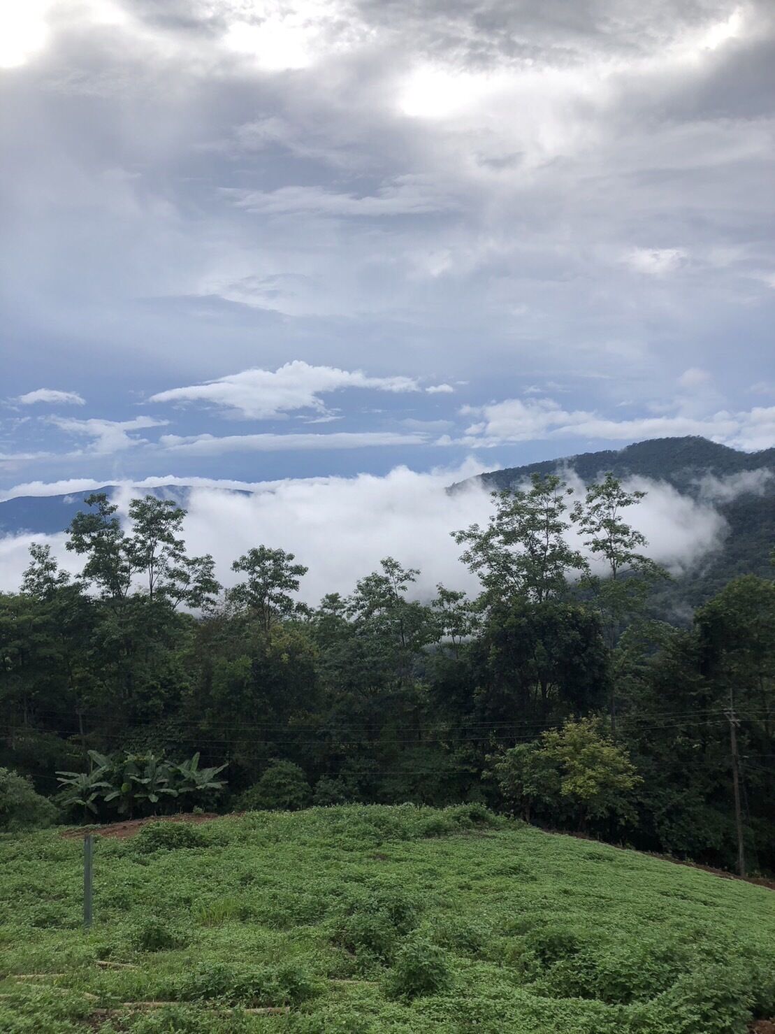 Phuchifaresort