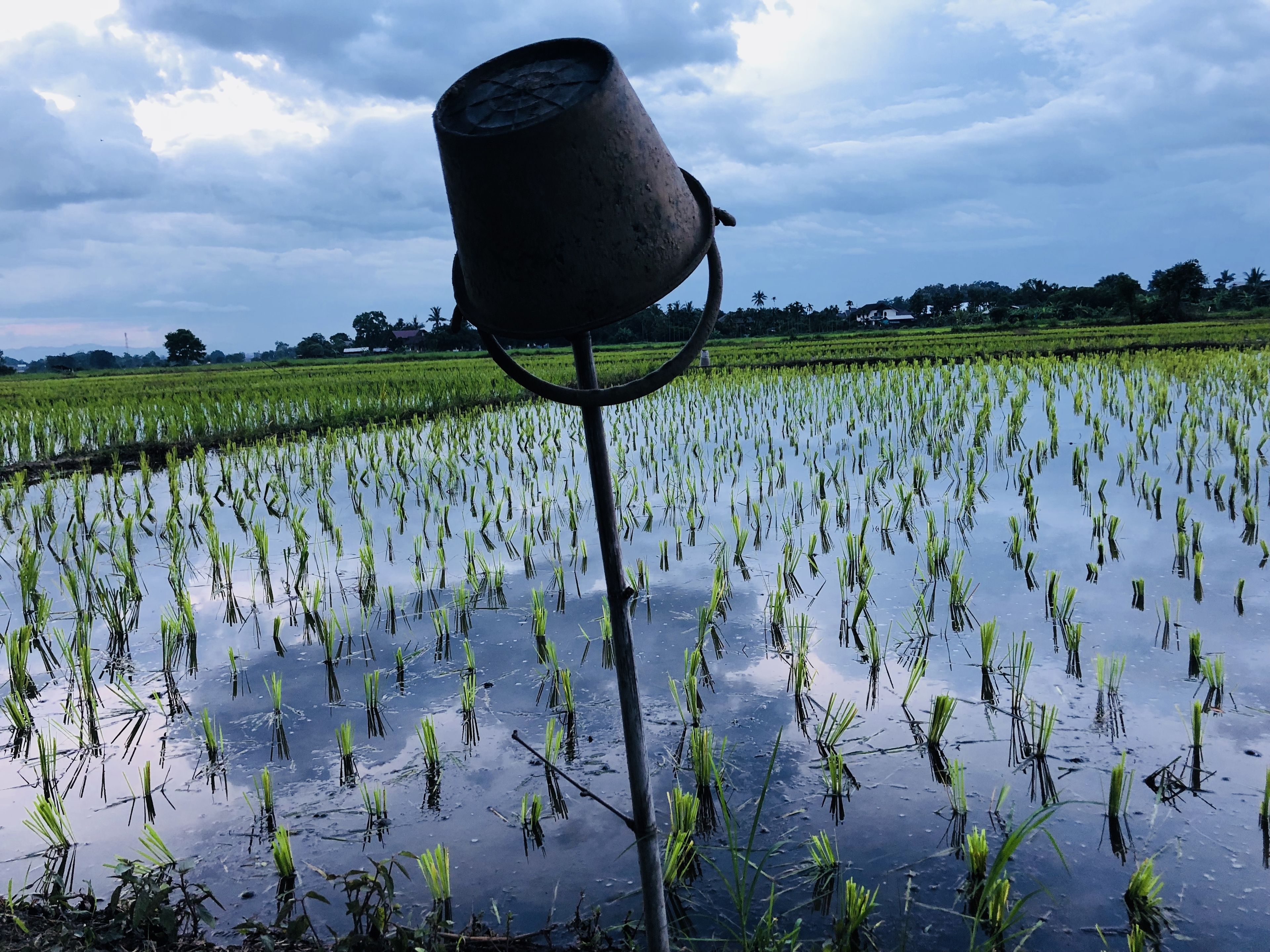 Suwannatara Resort & Spa