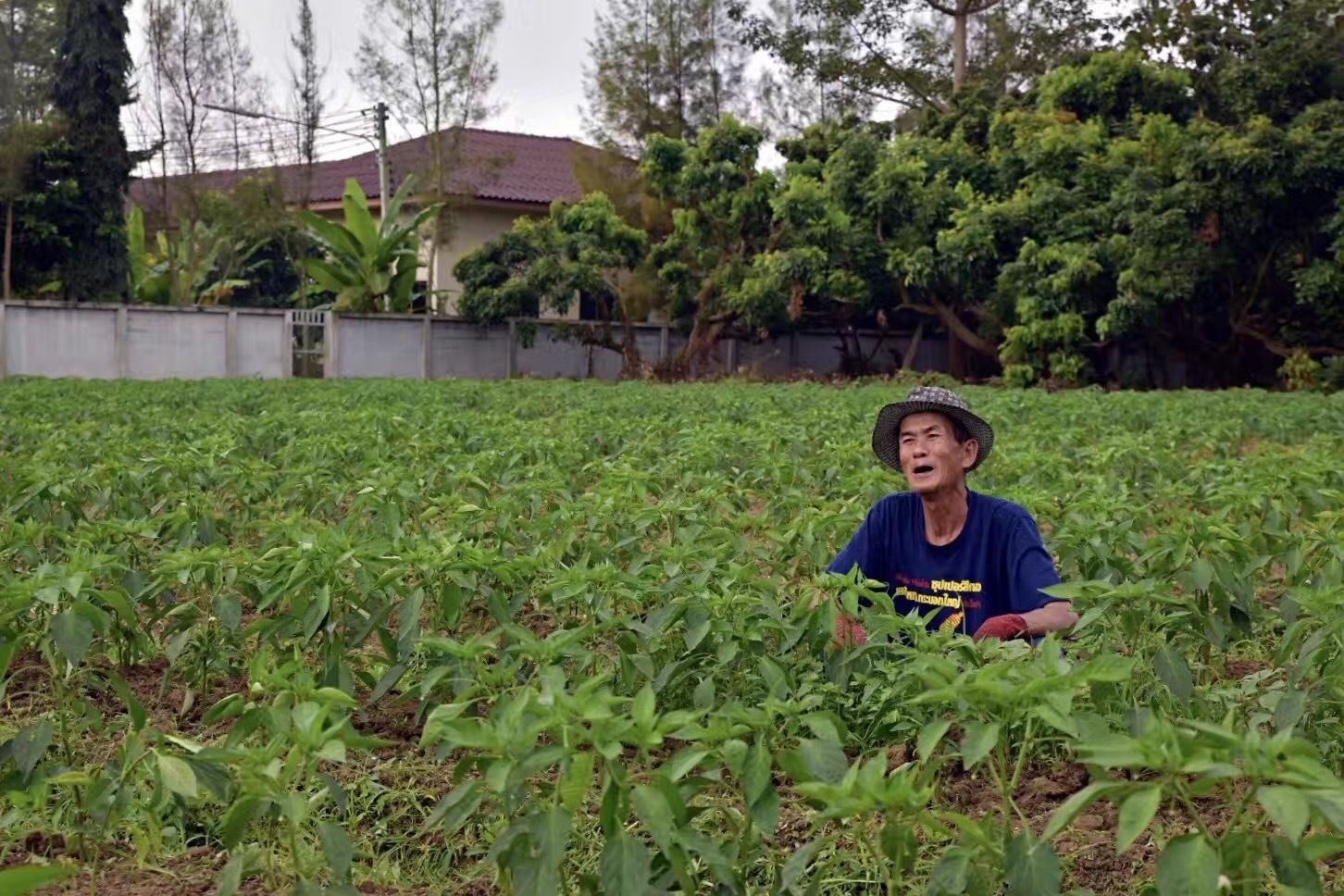 Suwannatara Resort & Spa