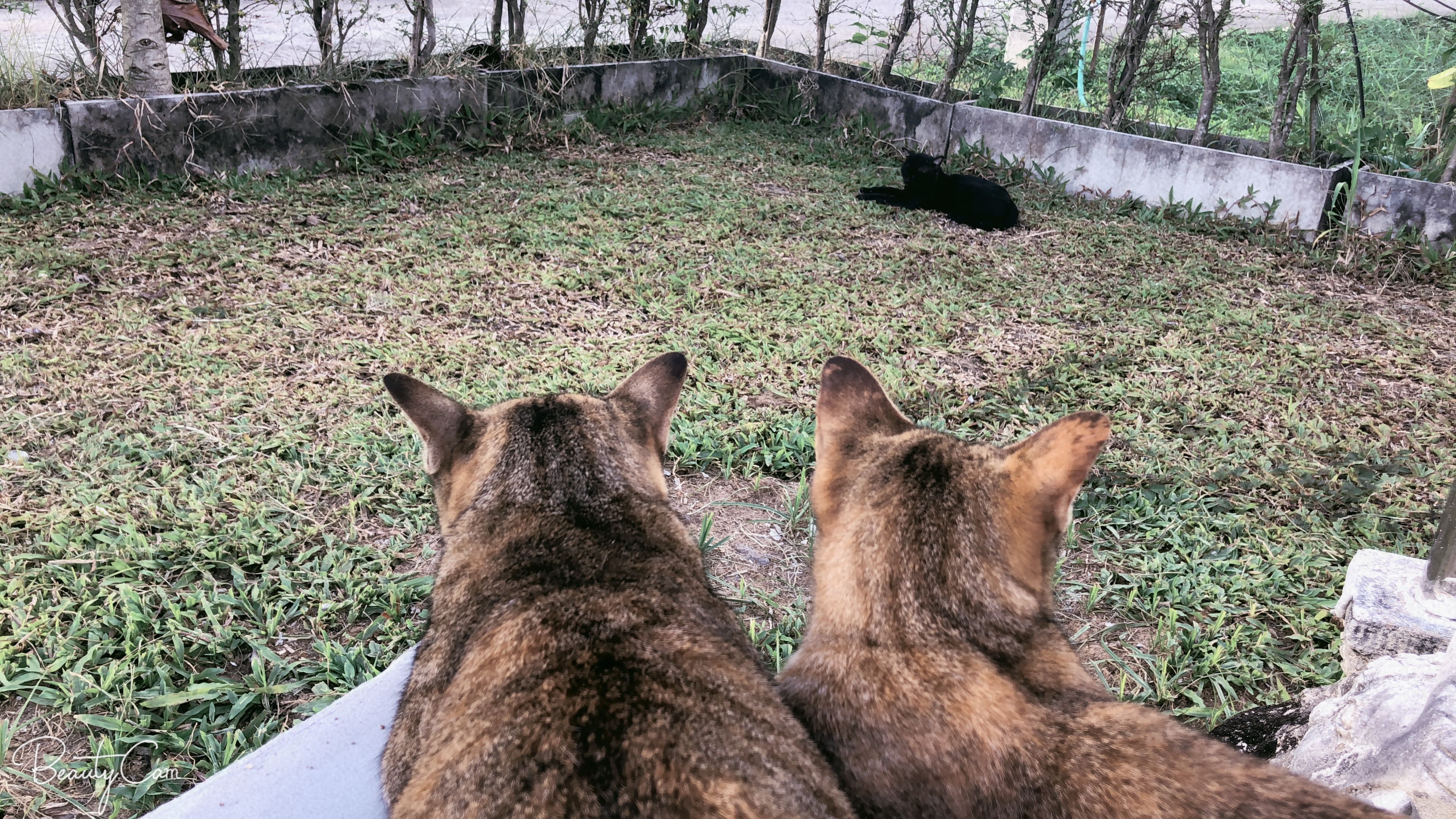 Suwannatara Resort & Spa