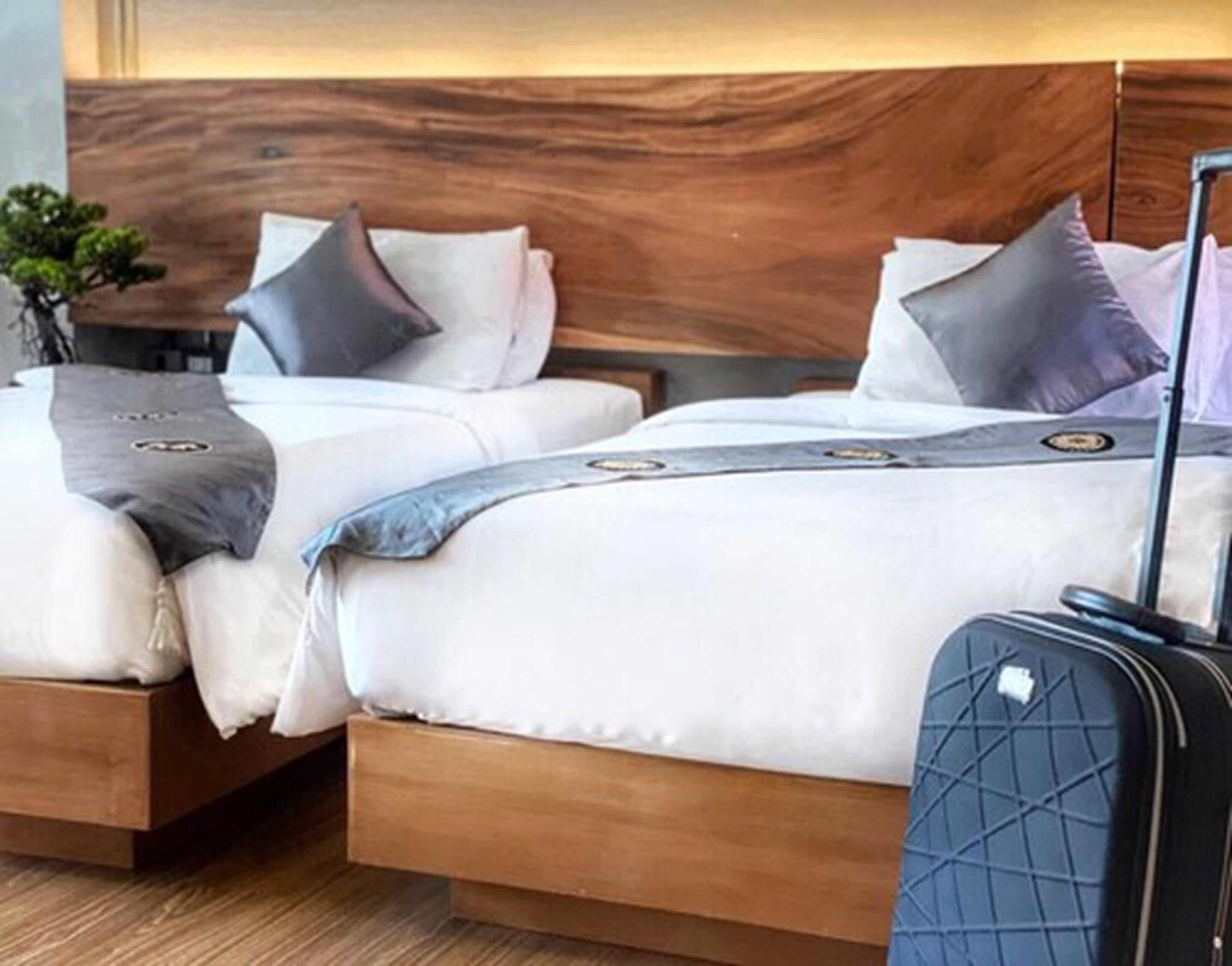 The Lannatree Guest House