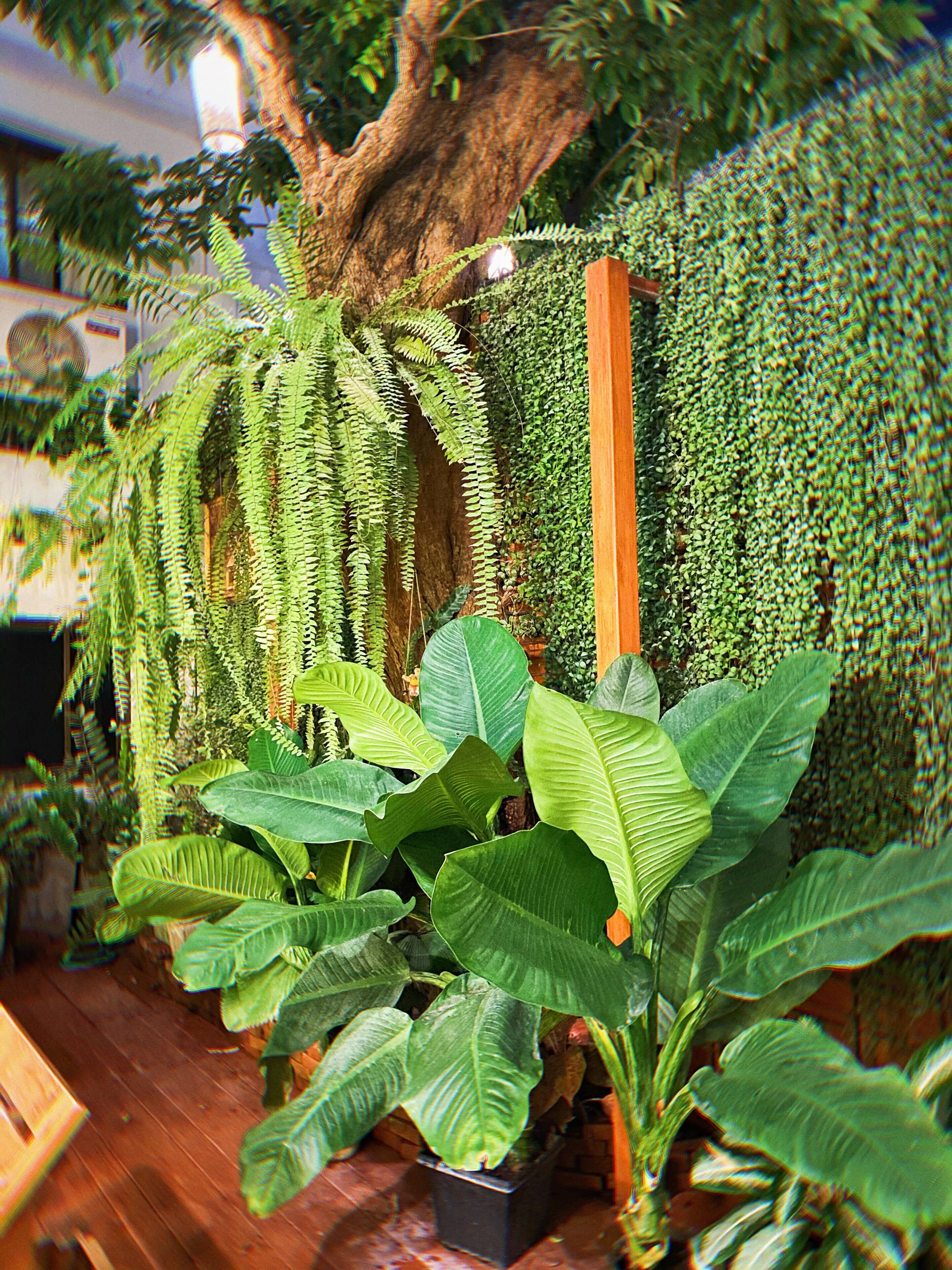 The Lannatree Guest House