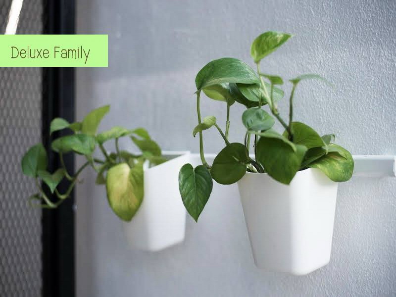 The Leaf Chiangmai Service Apartment