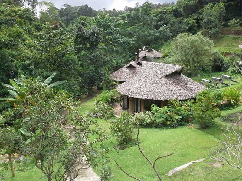 Tadplacamp Organic Farm Stay