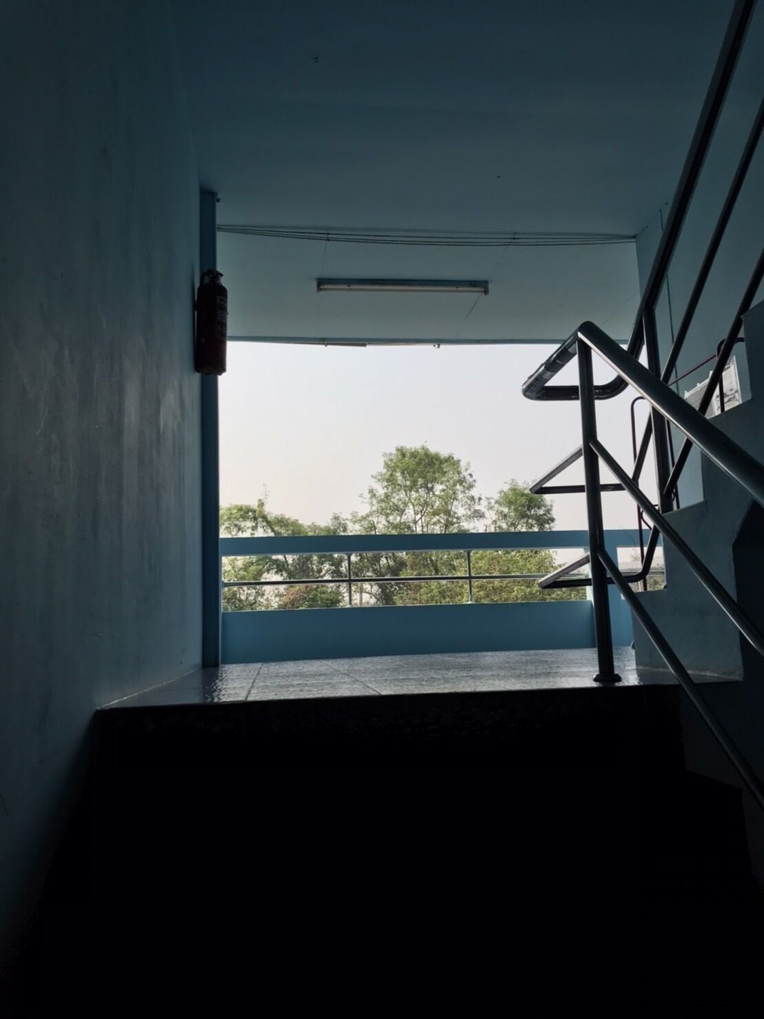 The Thana House
