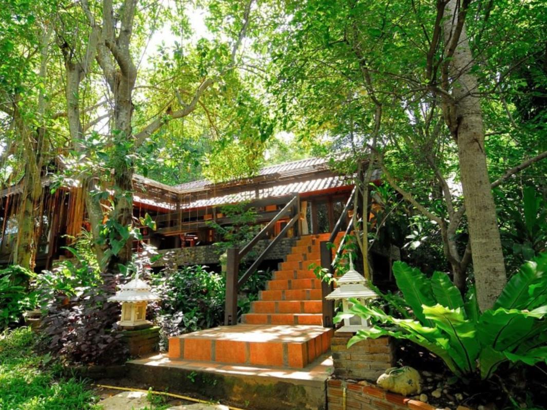 Viva Chiang Mai