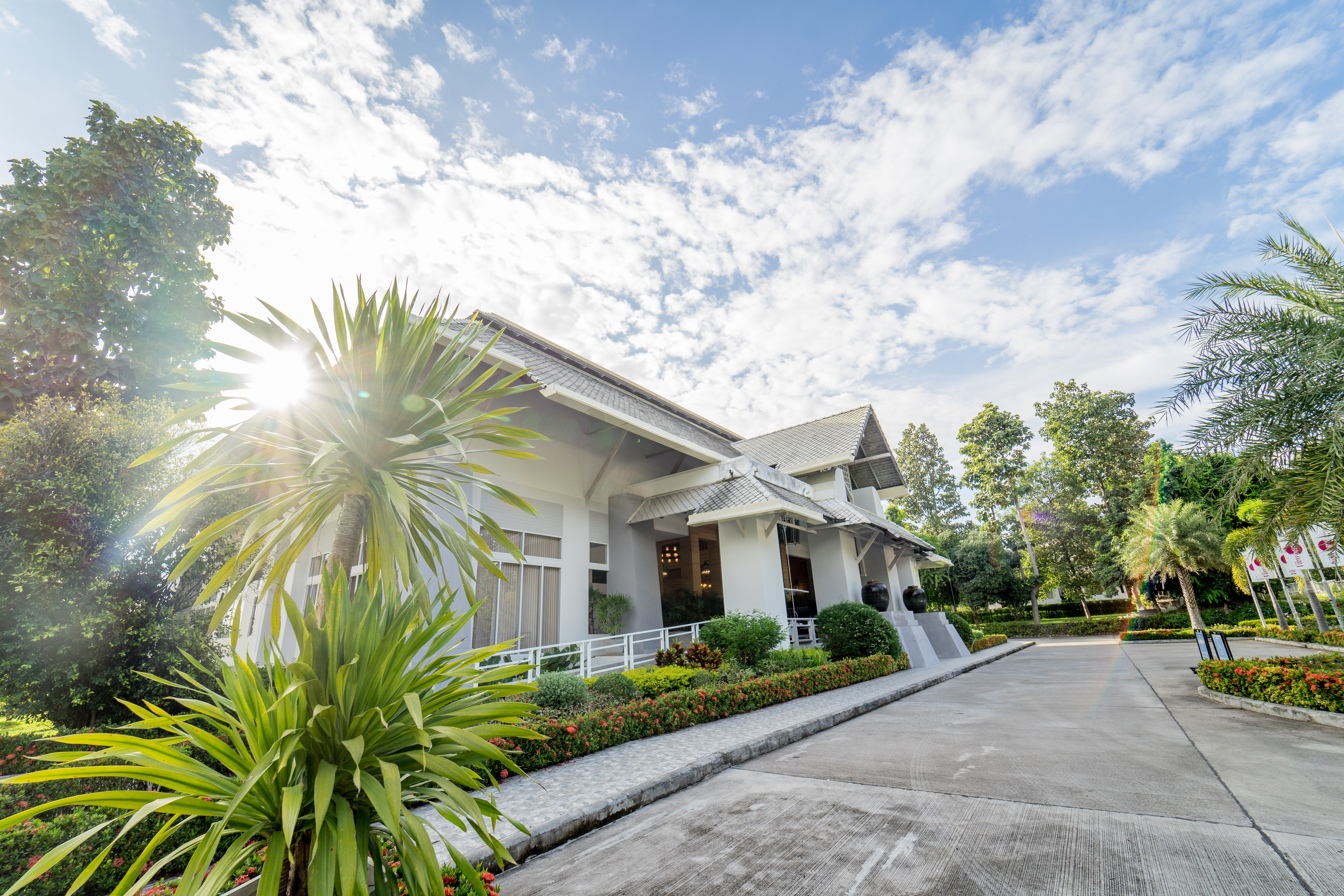 Dao Retreat