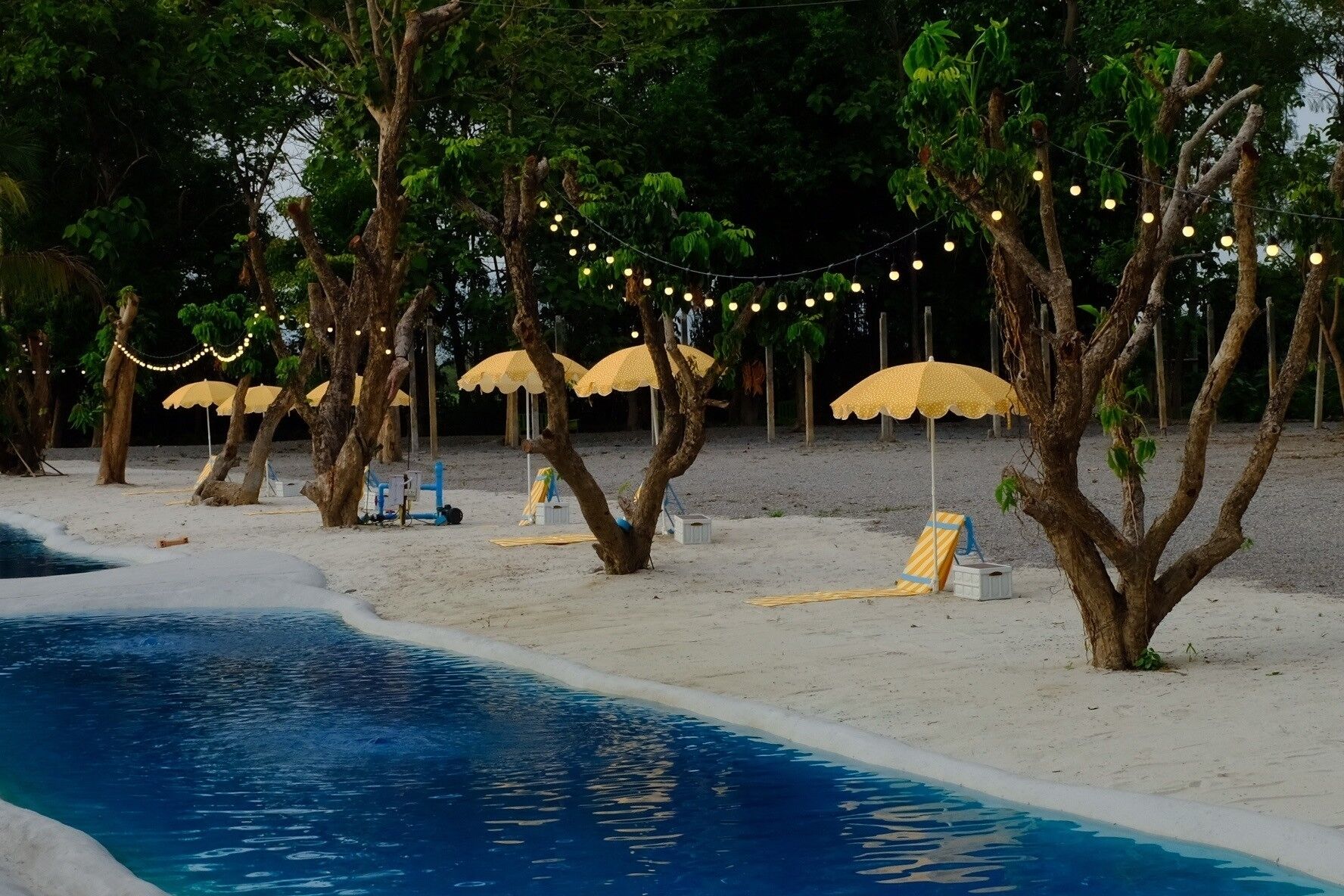 Waste Land Homestay & Resort Chiangmai