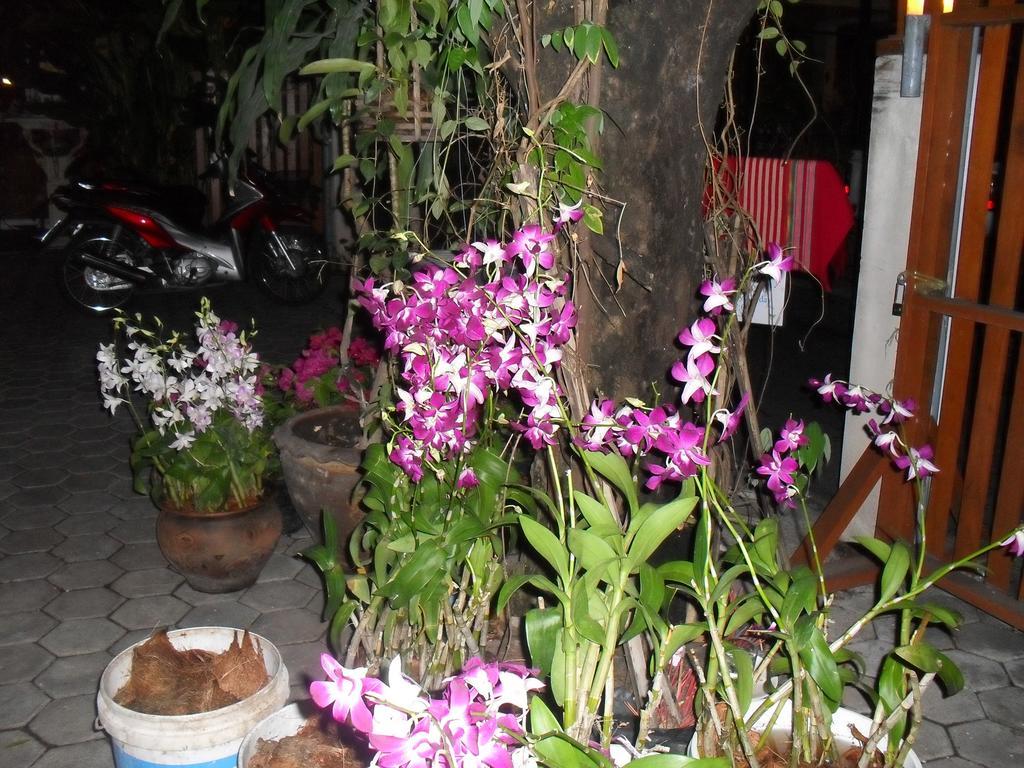 Yourhouse Guesthouse 3